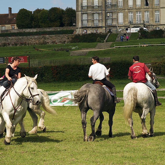 Photo de Haras national du Pin également sur communes de La Cochère, Ginai et Exmes