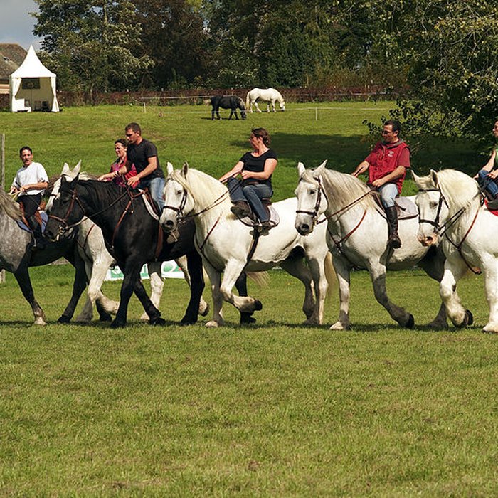 Photo de Haras national du Pin également sur communes de La Cochère, Ginai et Exmes