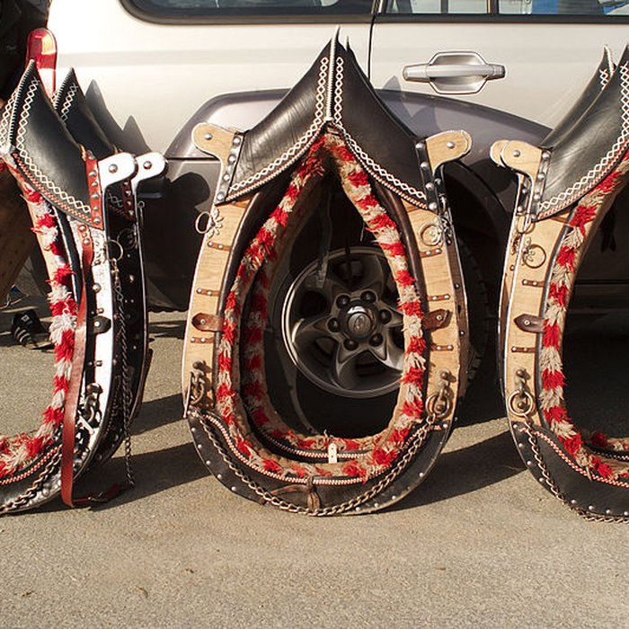 Photo de Haras national du Pin également sur communes de La Cochère, Ginai et Exmes