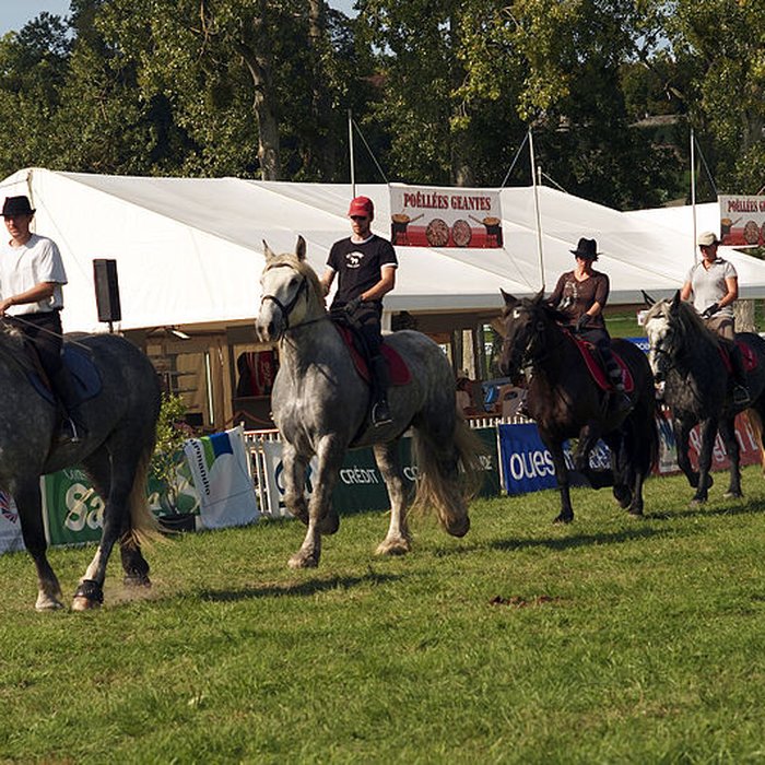 Photo de Haras national du Pin également sur communes de La Cochère, Ginai et Exmes