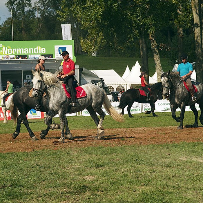 Photo de Haras national du Pin également sur communes de La Cochère, Ginai et Exmes