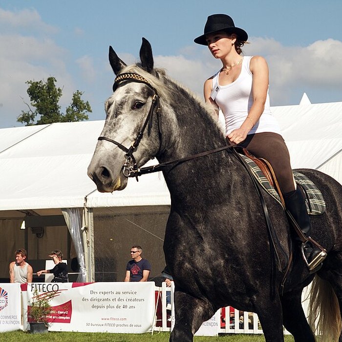 Photo de Haras national du Pin également sur communes de La Cochère, Ginai et Exmes