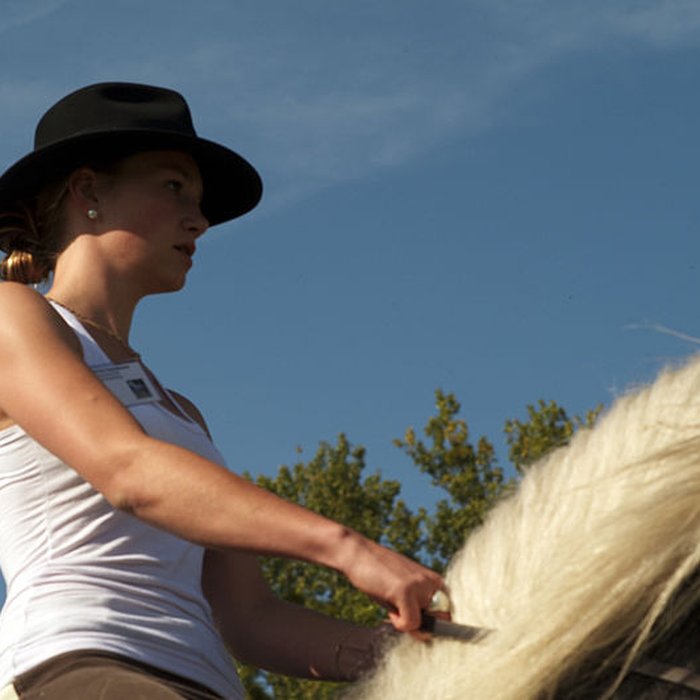 Photo de Haras national du Pin également sur communes de La Cochère, Ginai et Exmes