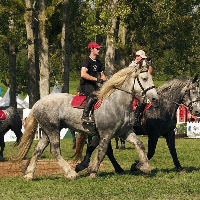 Photo de Haras national du Pin également sur communes de La Cochère, Ginai et Exmes
