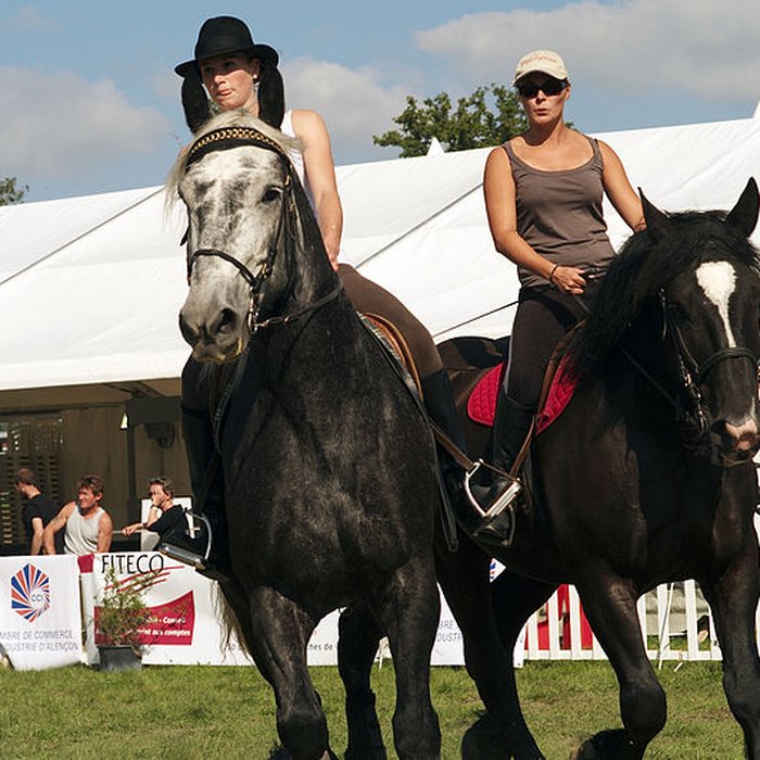 Photo de Haras national du Pin également sur communes de La Cochère, Ginai et Exmes