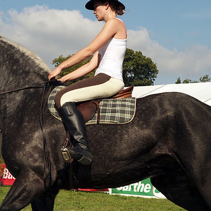 Photo de Haras national du Pin également sur communes de La Cochère, Ginai et Exmes