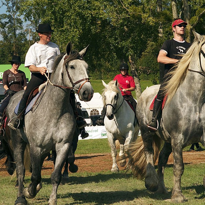 Photo de Haras national du Pin également sur communes de La Cochère, Ginai et Exmes