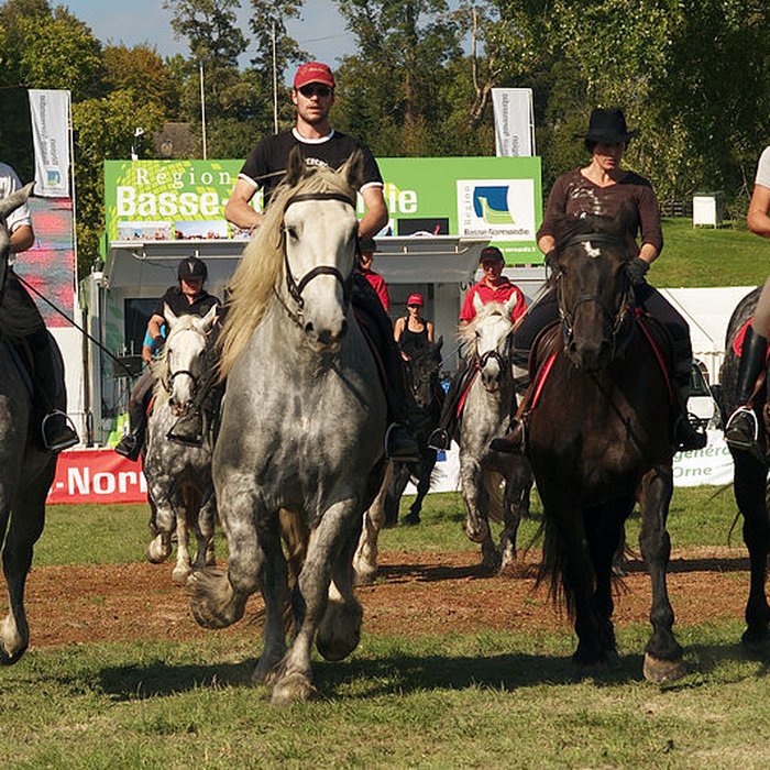 Photo de Haras national du Pin également sur communes de La Cochère, Ginai et Exmes