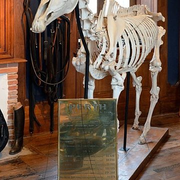 Château du Haras national du Pin