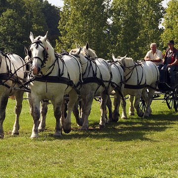 Château du Haras national du Pin