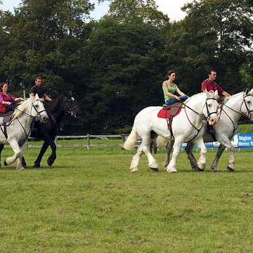 Château du Haras national du Pin