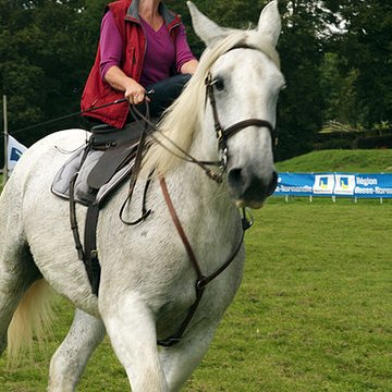 Château du Haras national du Pin