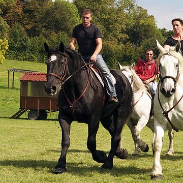 Château du Haras national du Pin