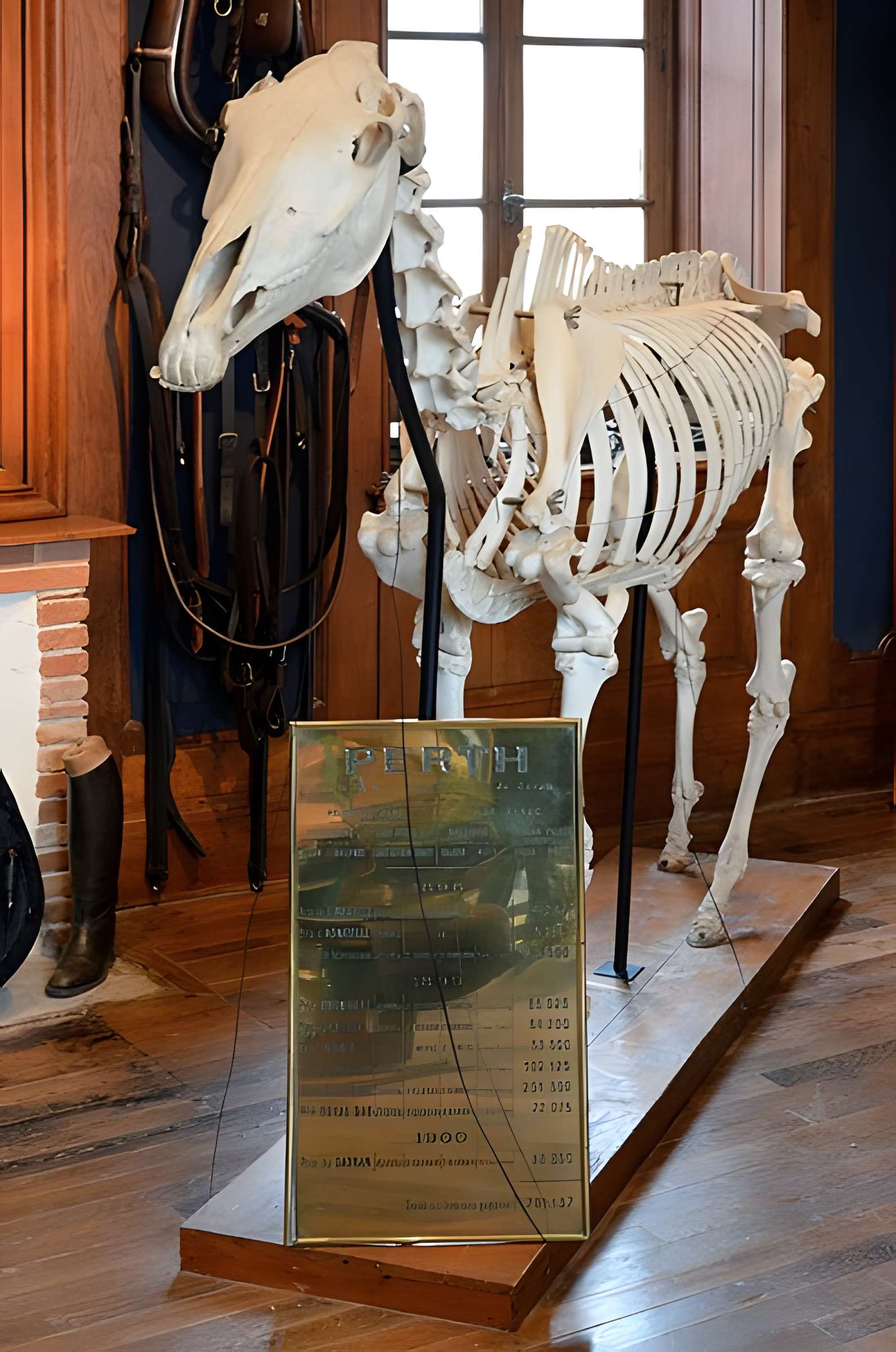 Château du Haras national du Pin