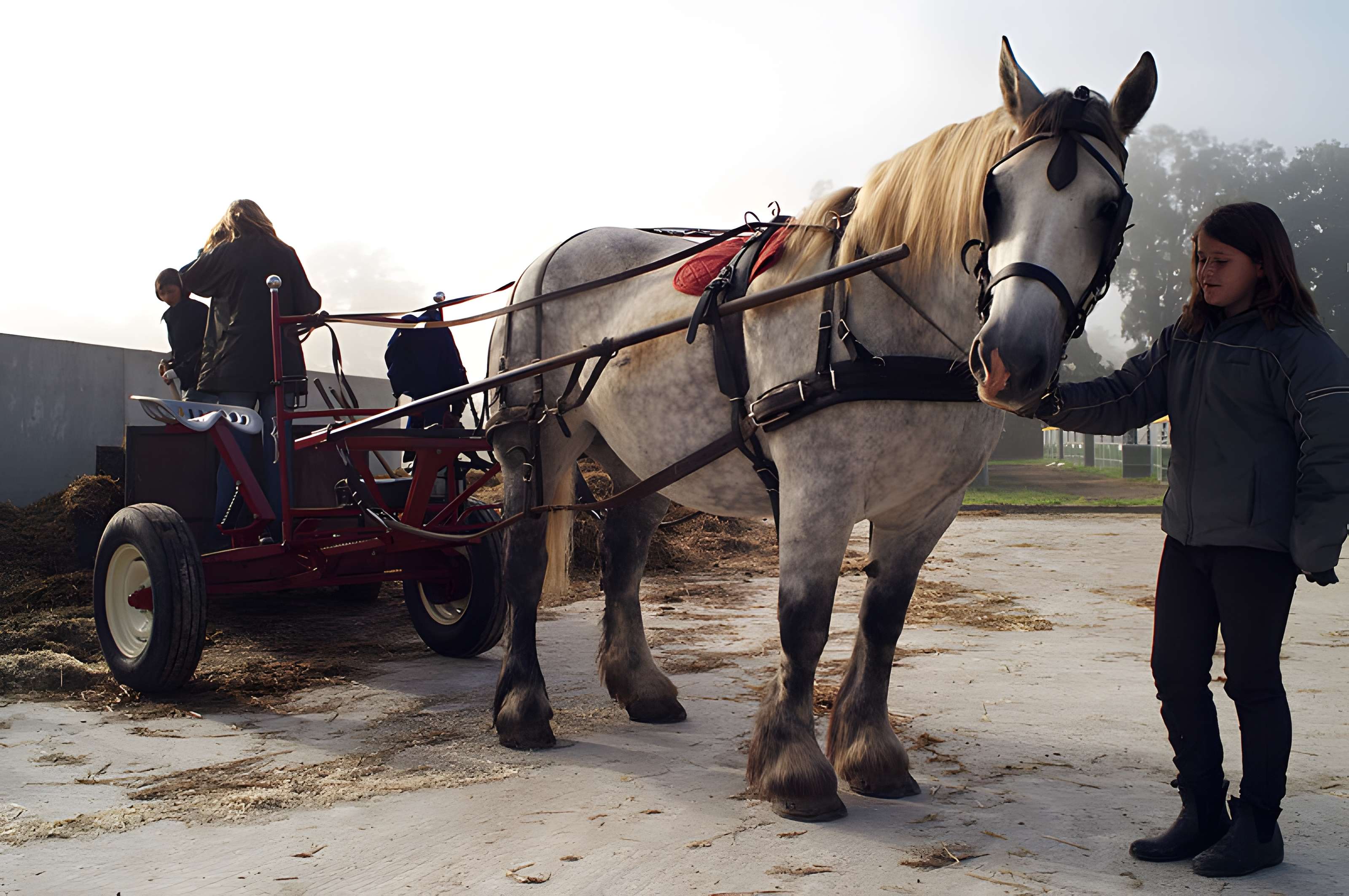 Château du Haras national du Pin