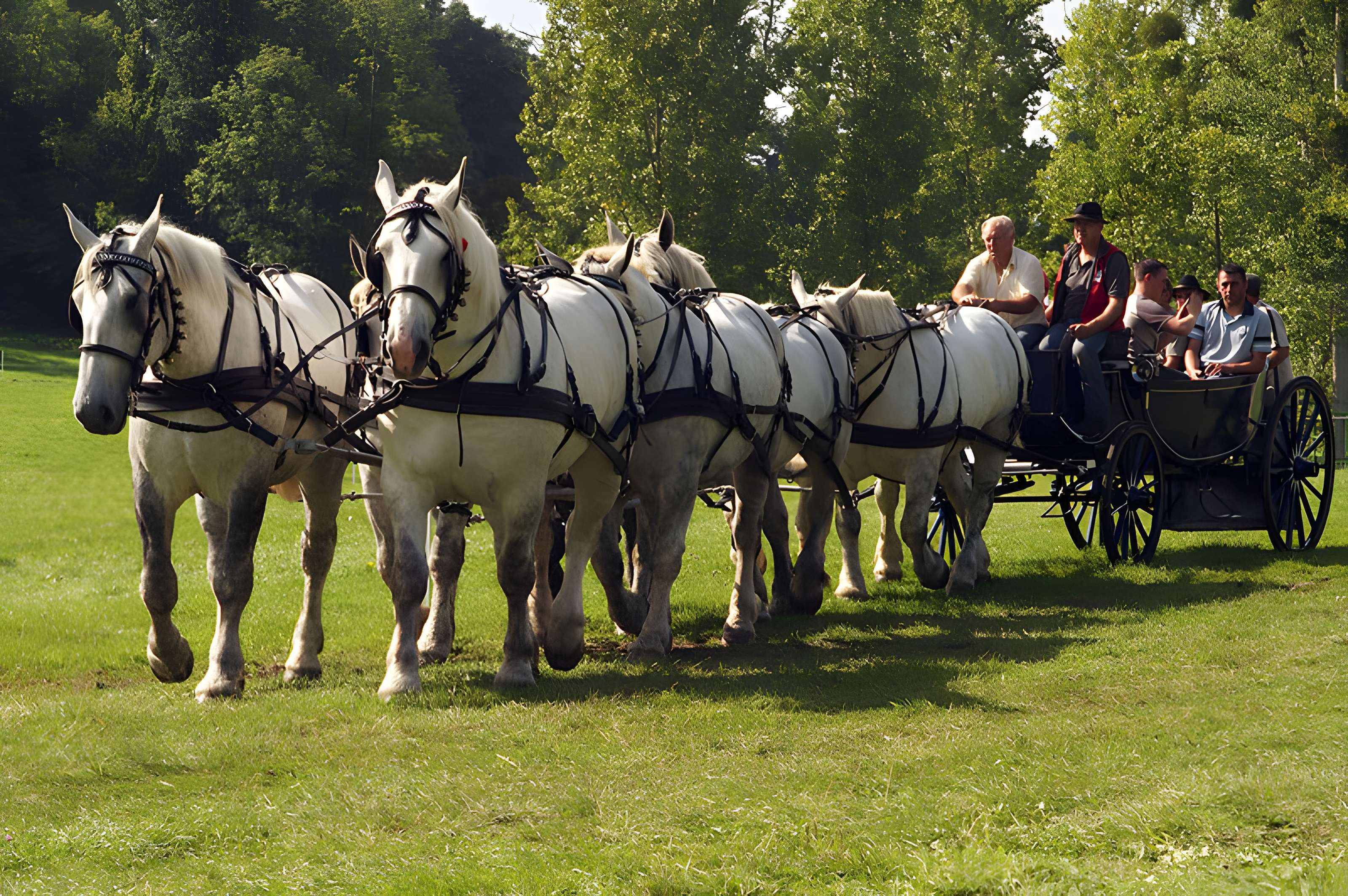 Château du Haras national du Pin
