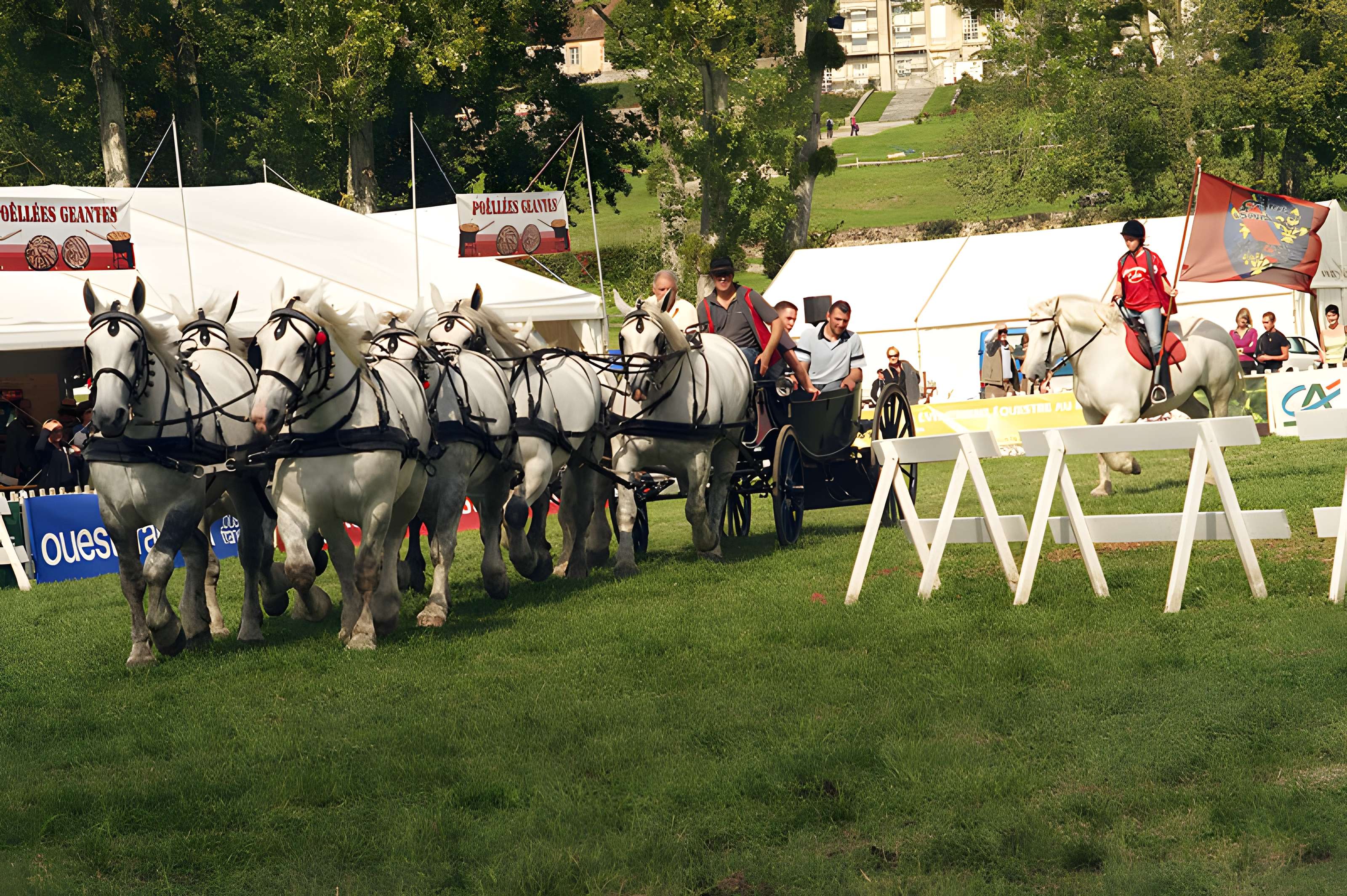 Château du Haras national du Pin