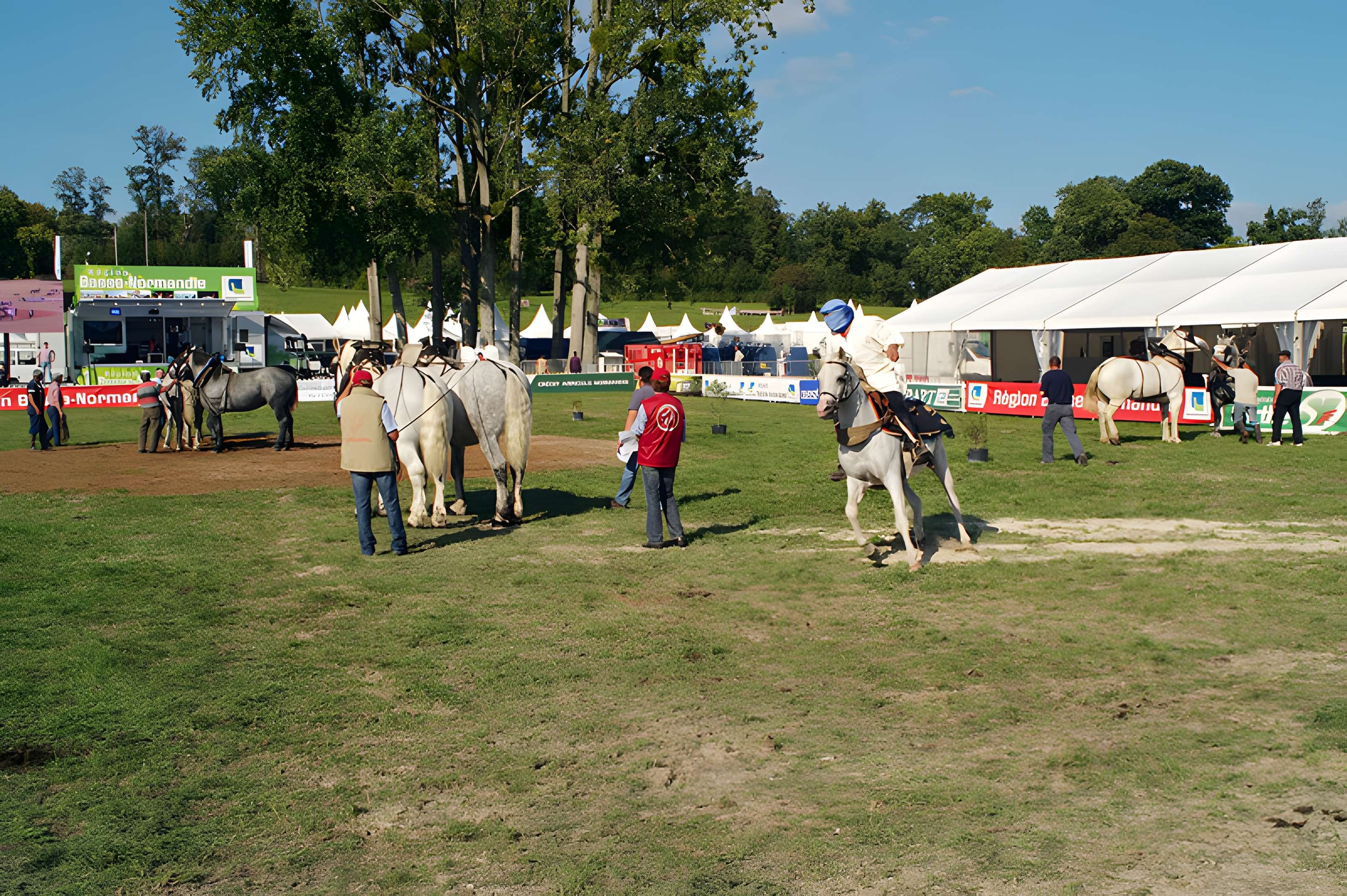 Château du Haras national du Pin