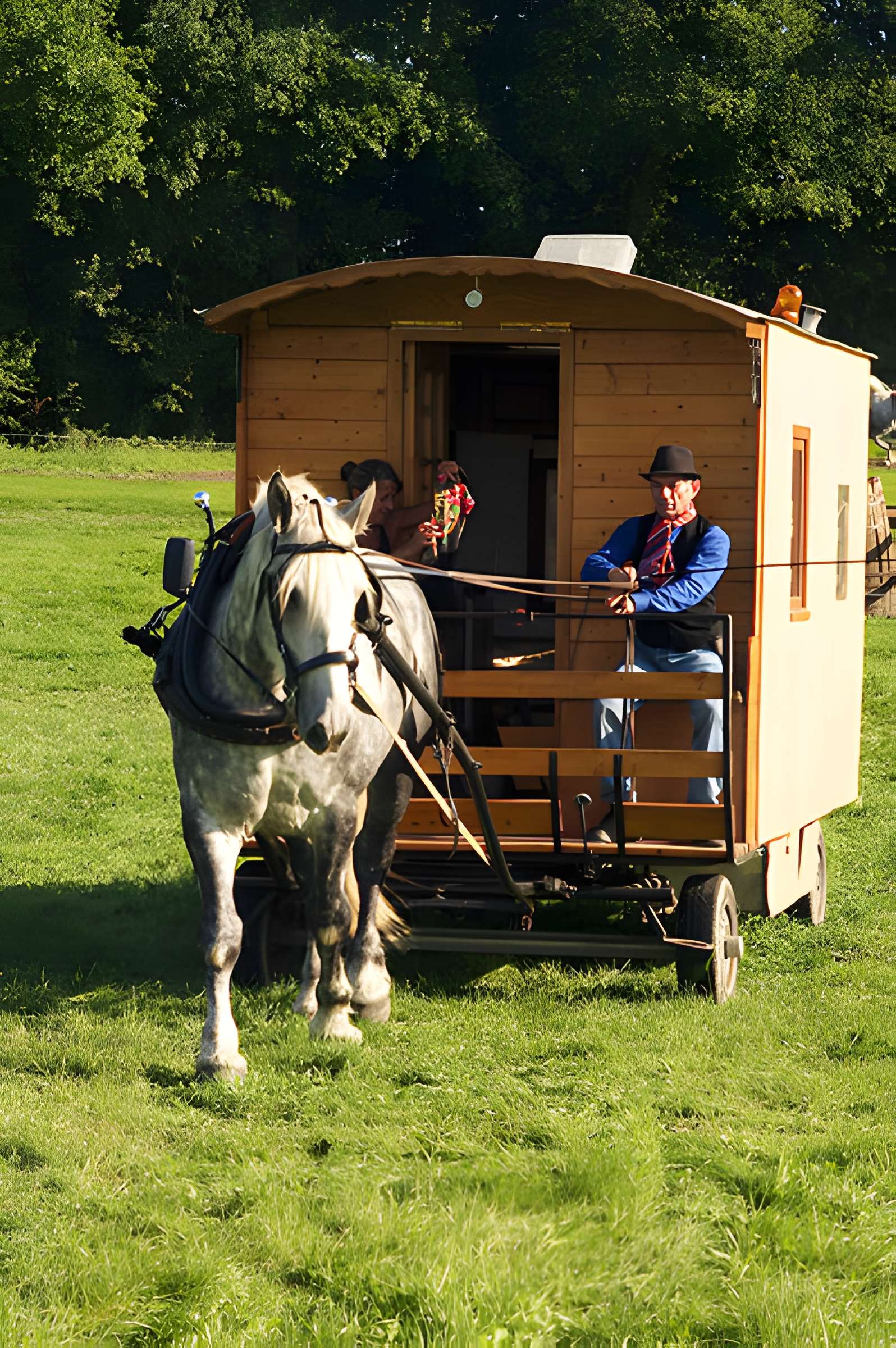 Château du Haras national du Pin