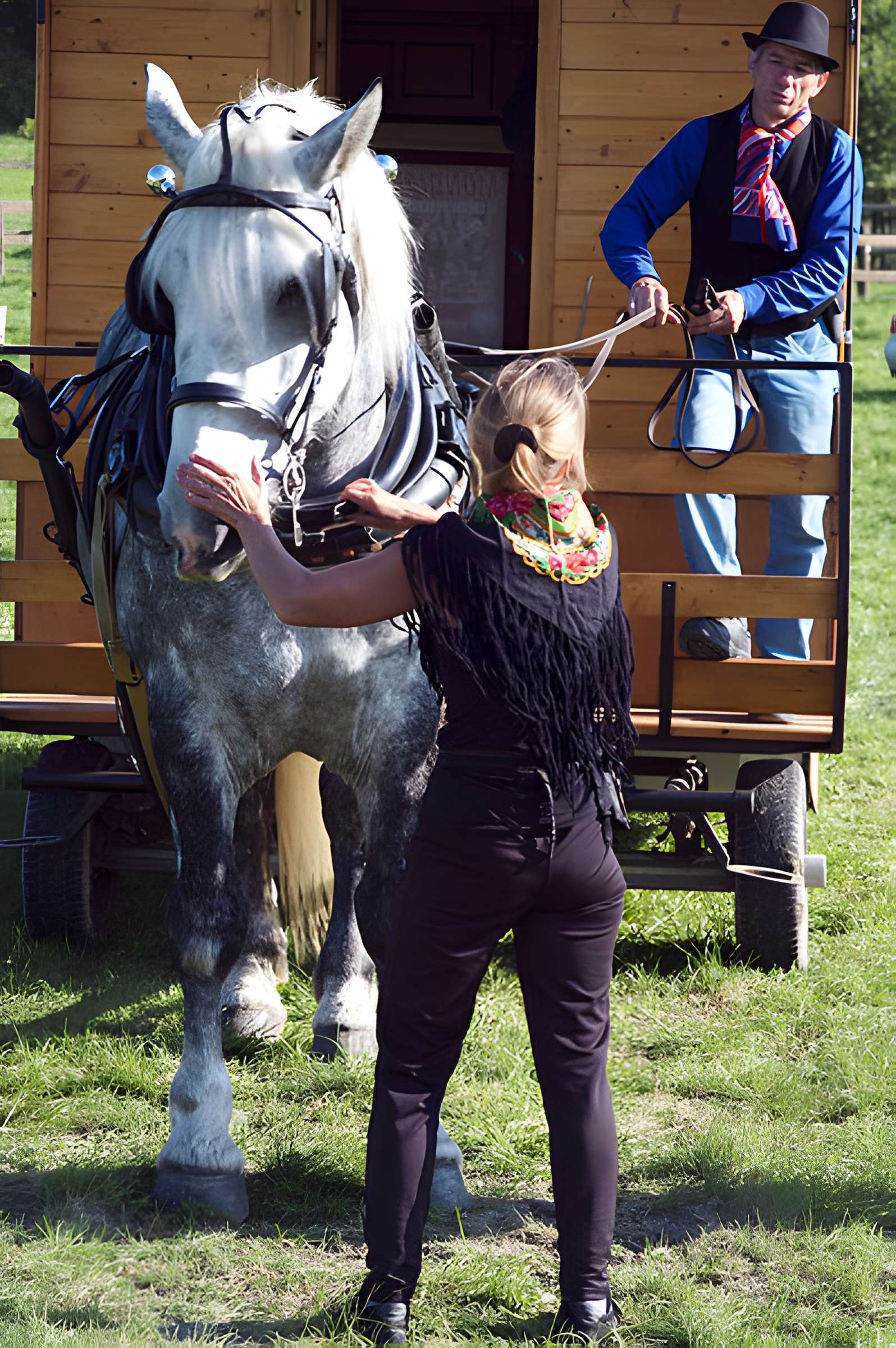 Château du Haras national du Pin