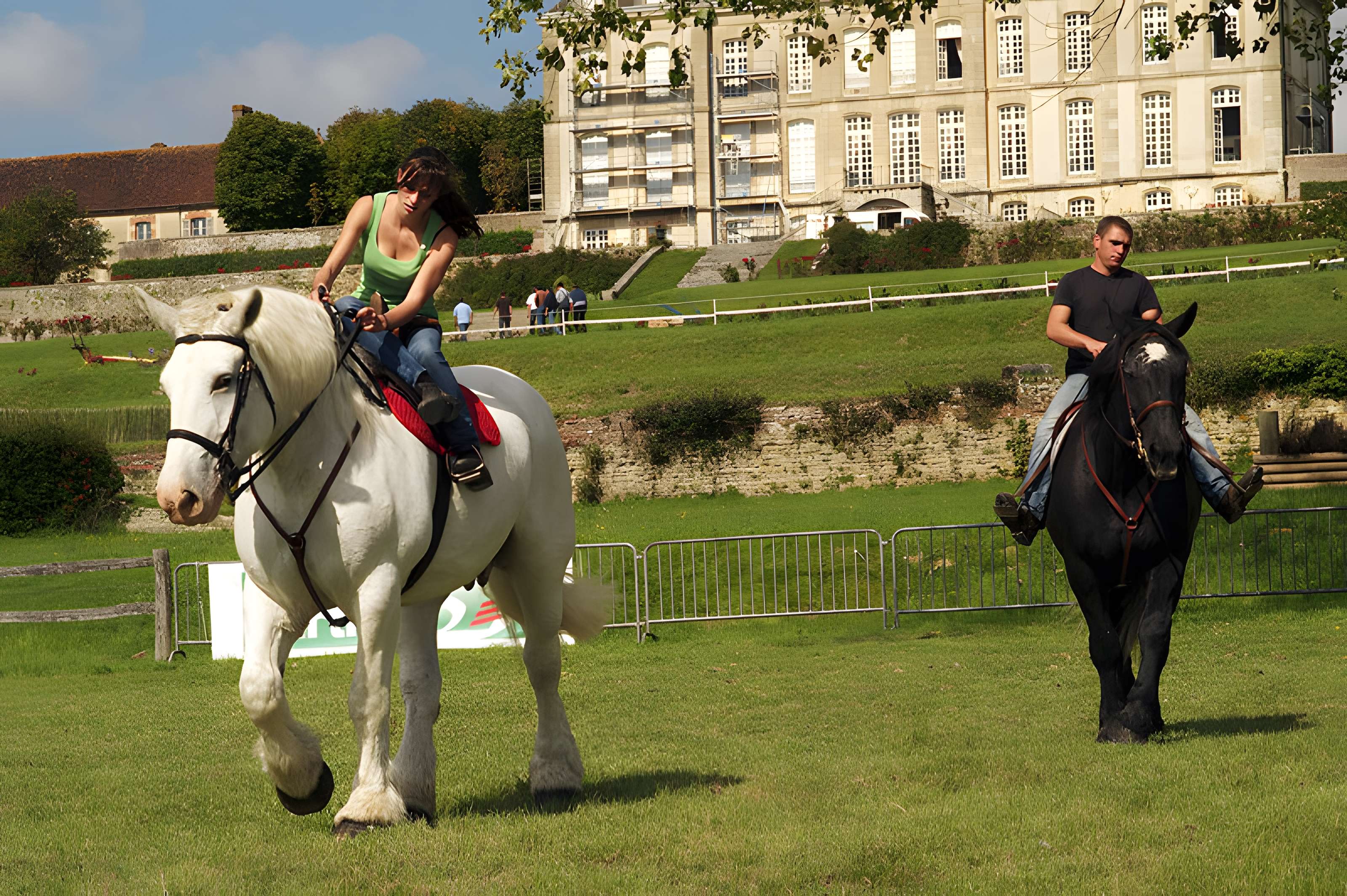 Château du Haras national du Pin