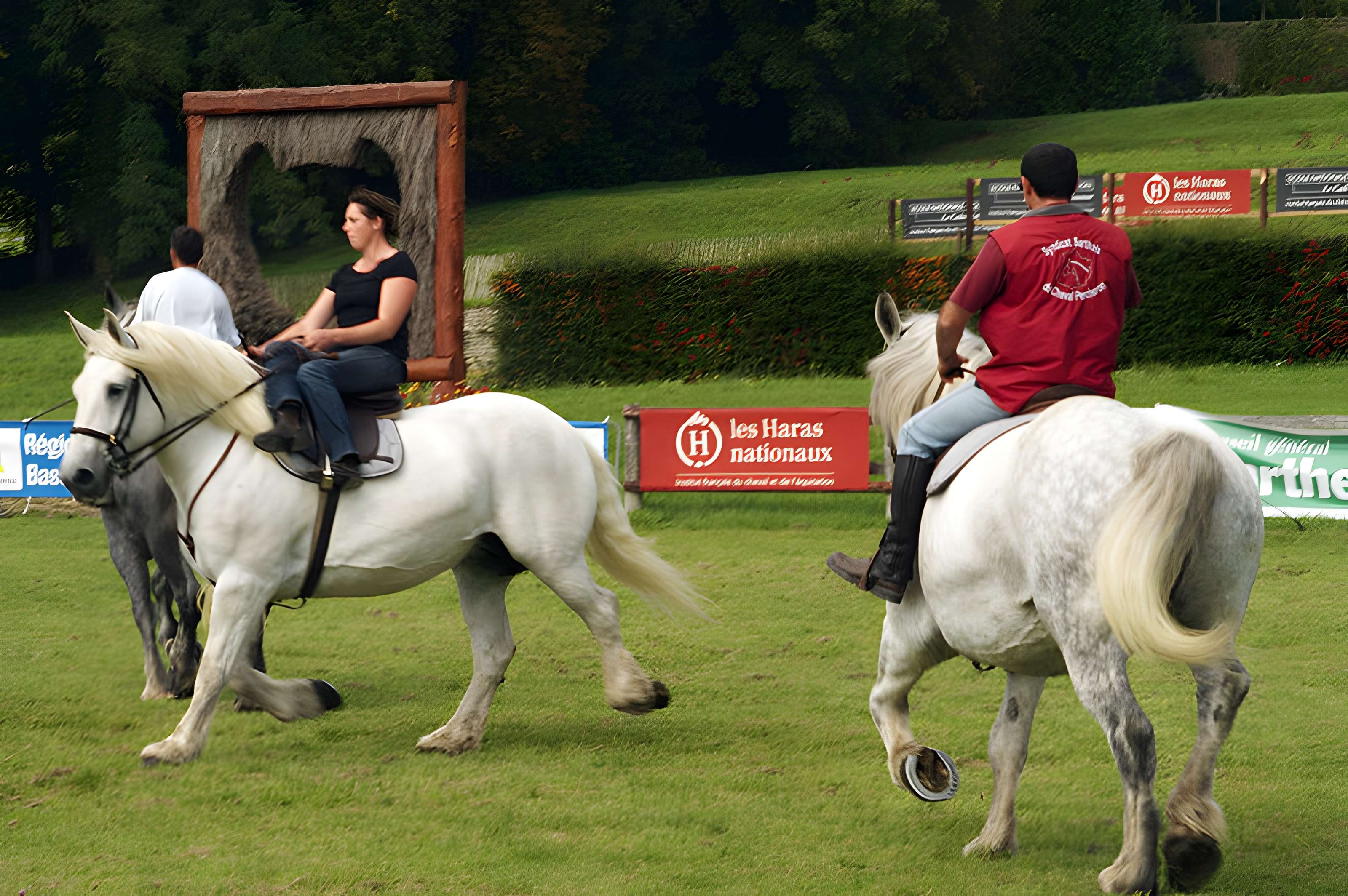Château du Haras national du Pin