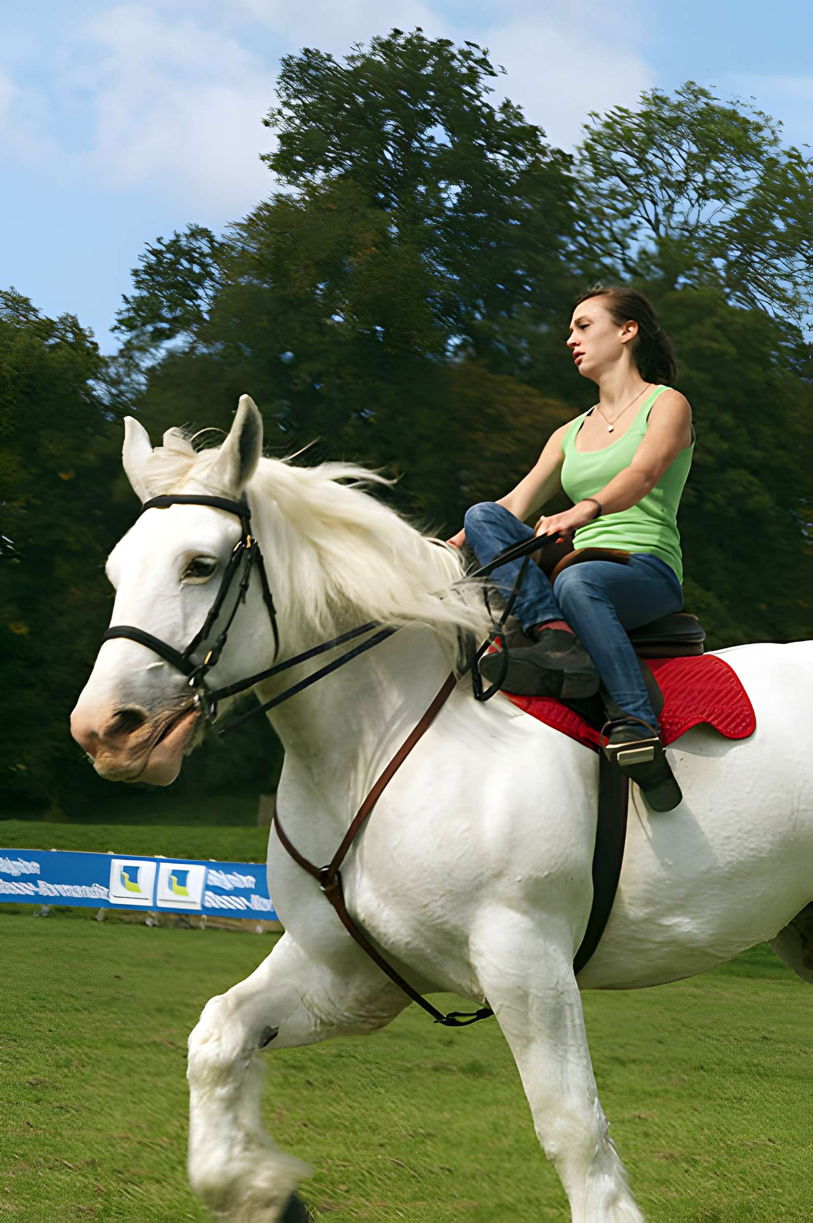 Château du Haras national du Pin