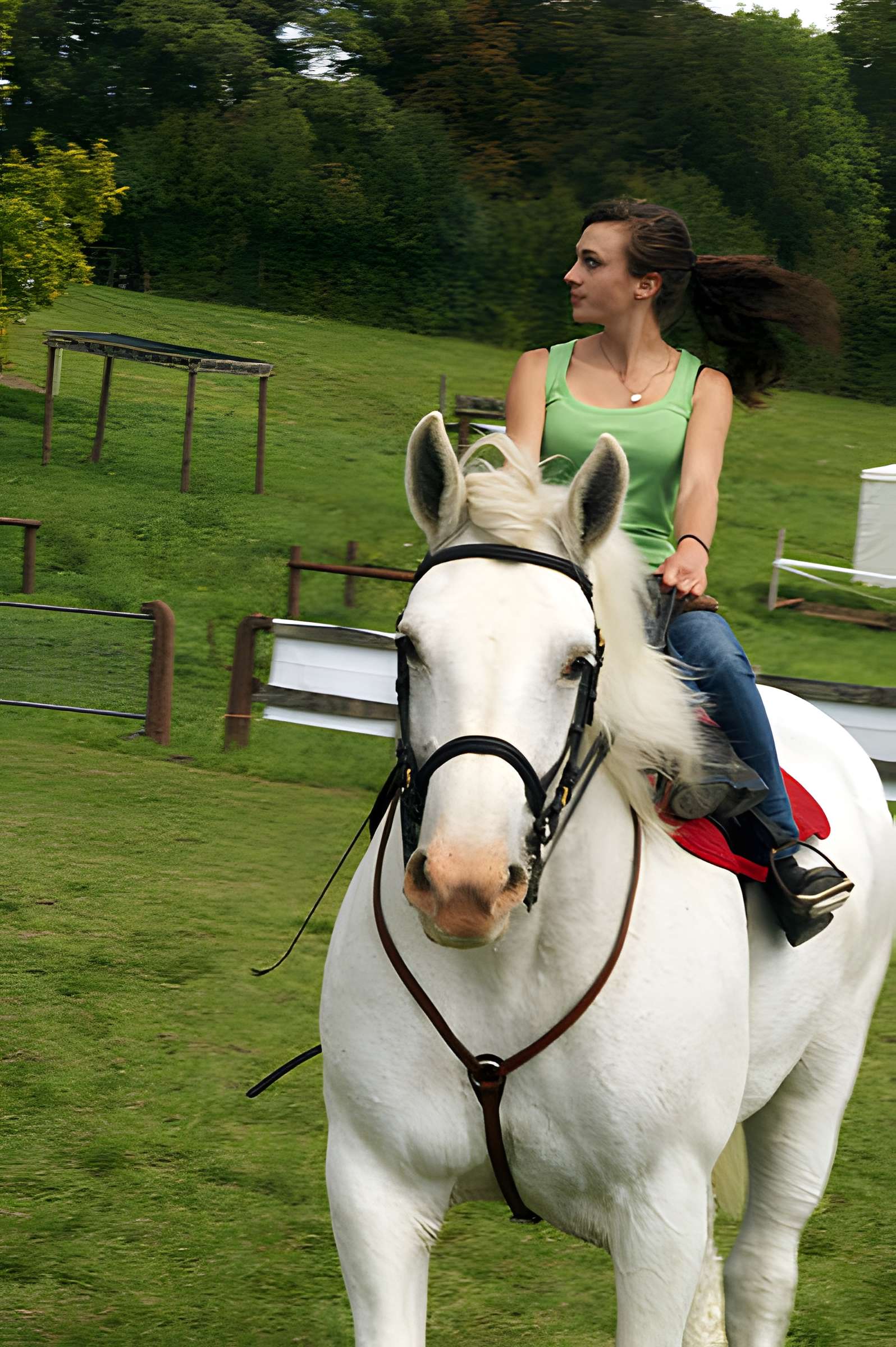 Château du Haras national du Pin