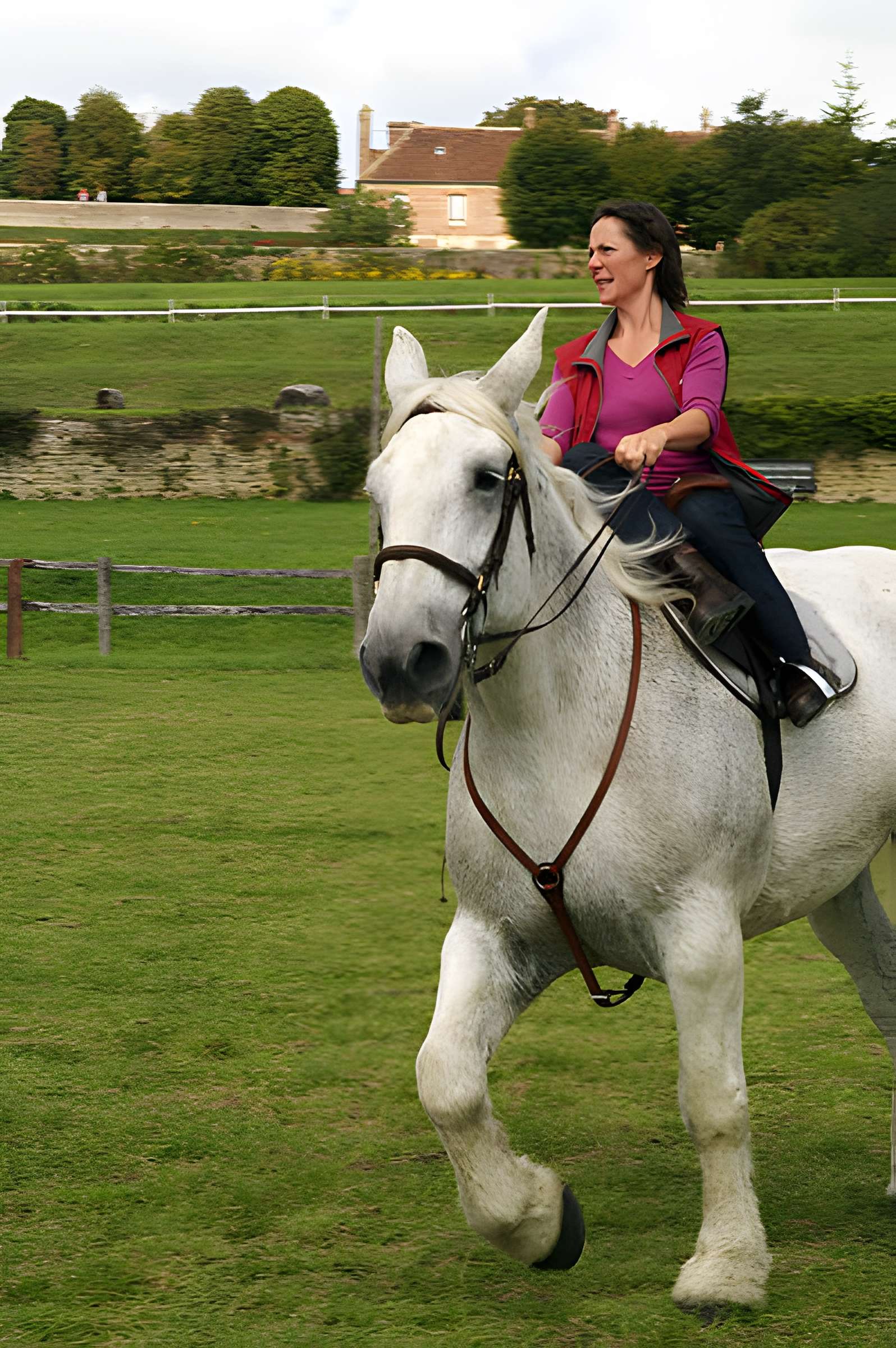 Château du Haras national du Pin