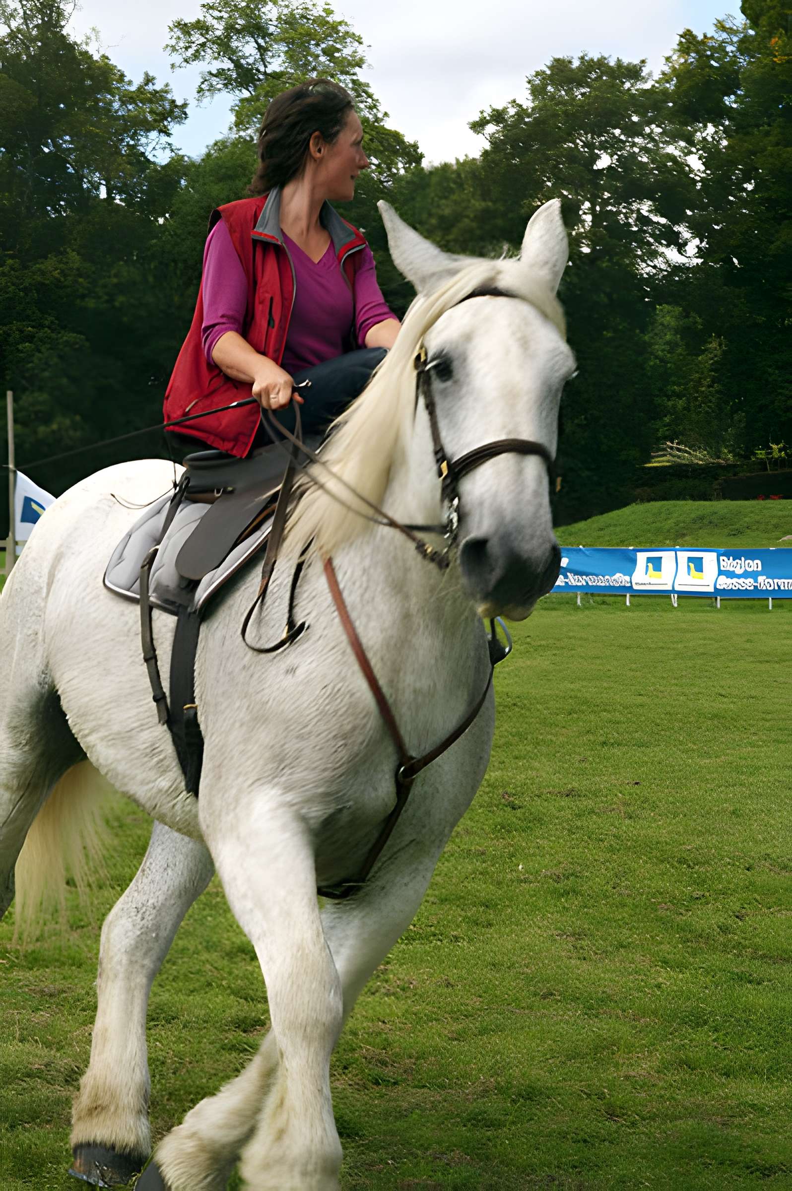 Château du Haras national du Pin