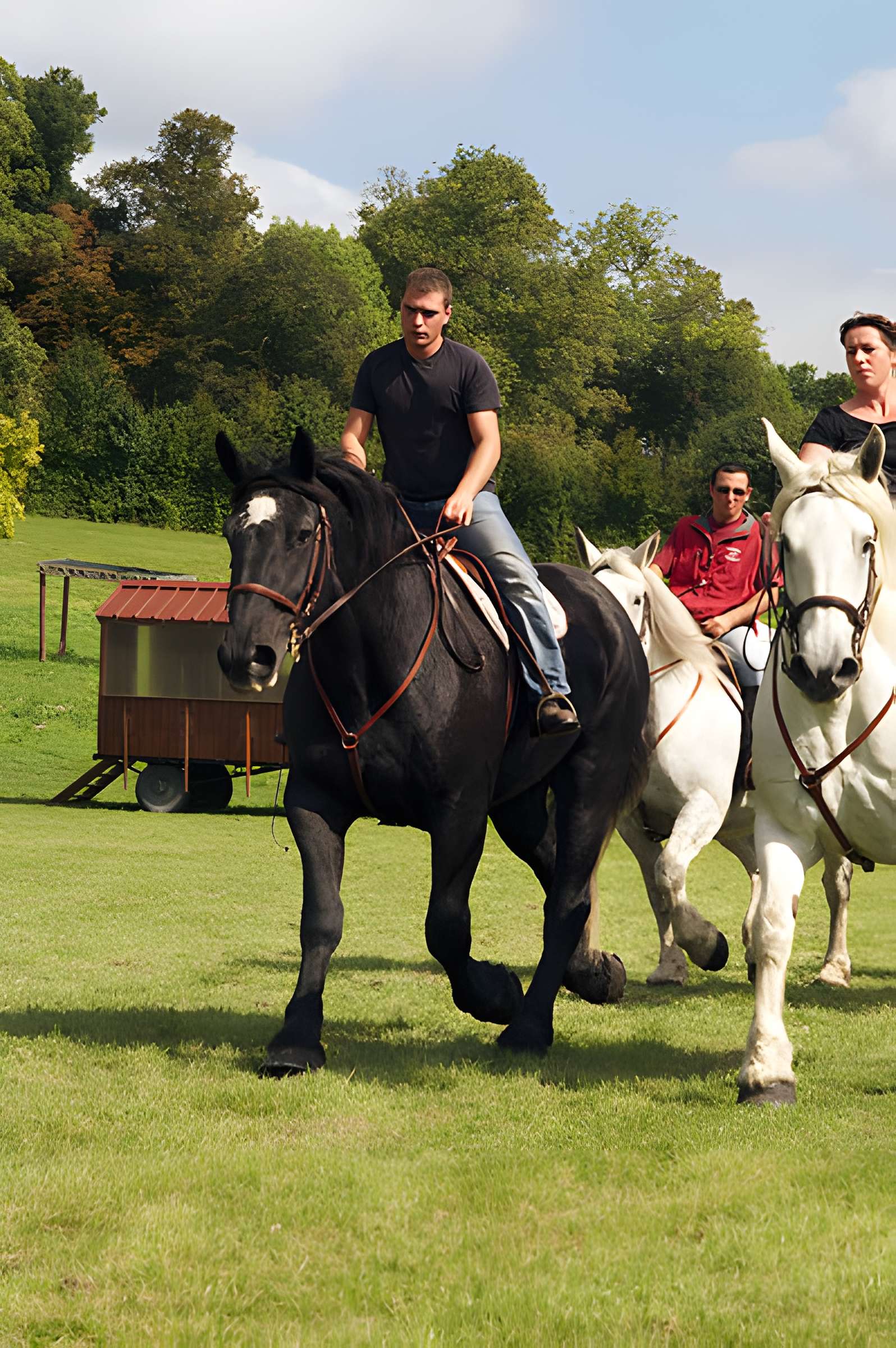 Château du Haras national du Pin