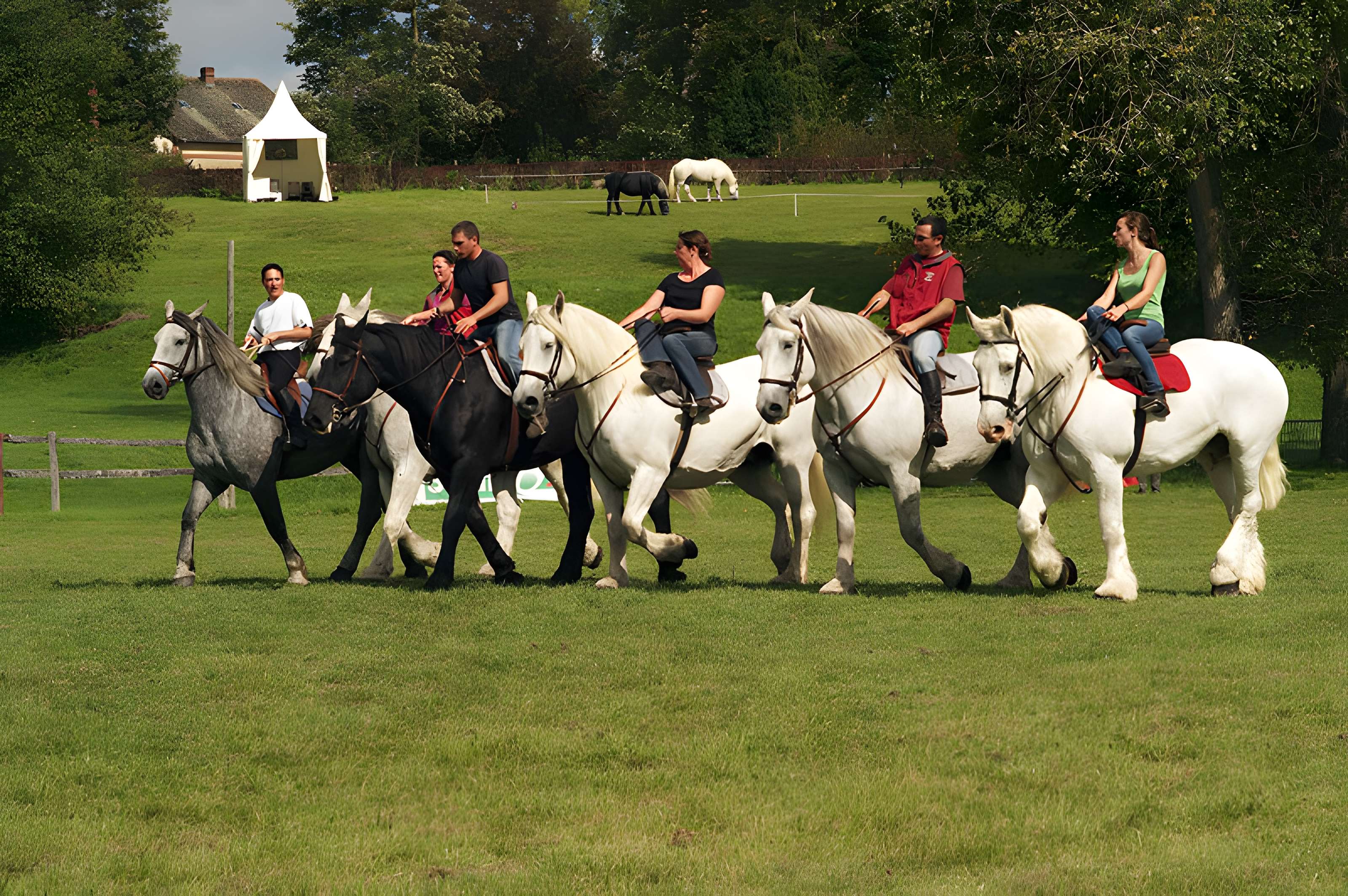 Château du Haras national du Pin
