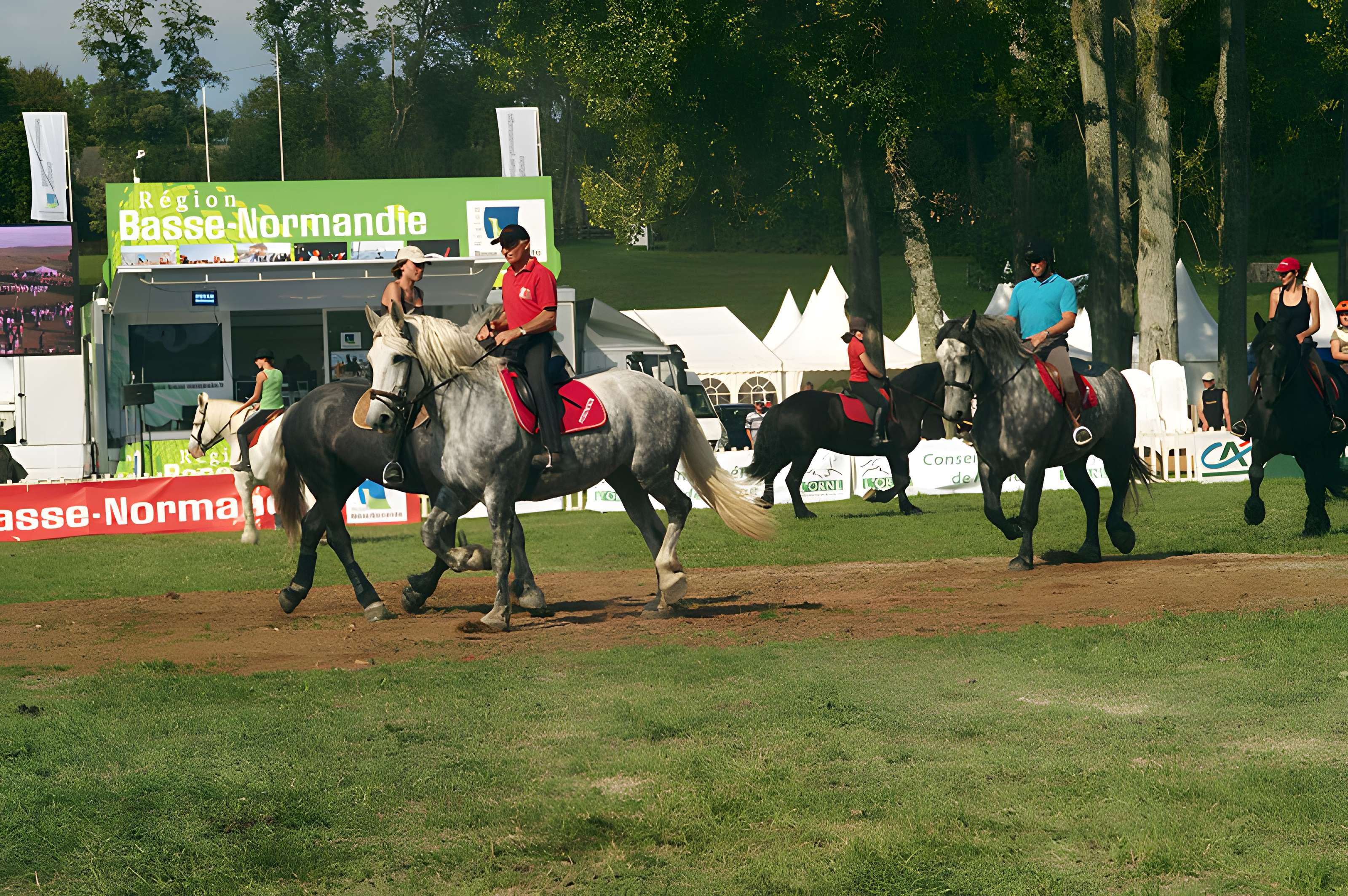 Château du Haras national du Pin
