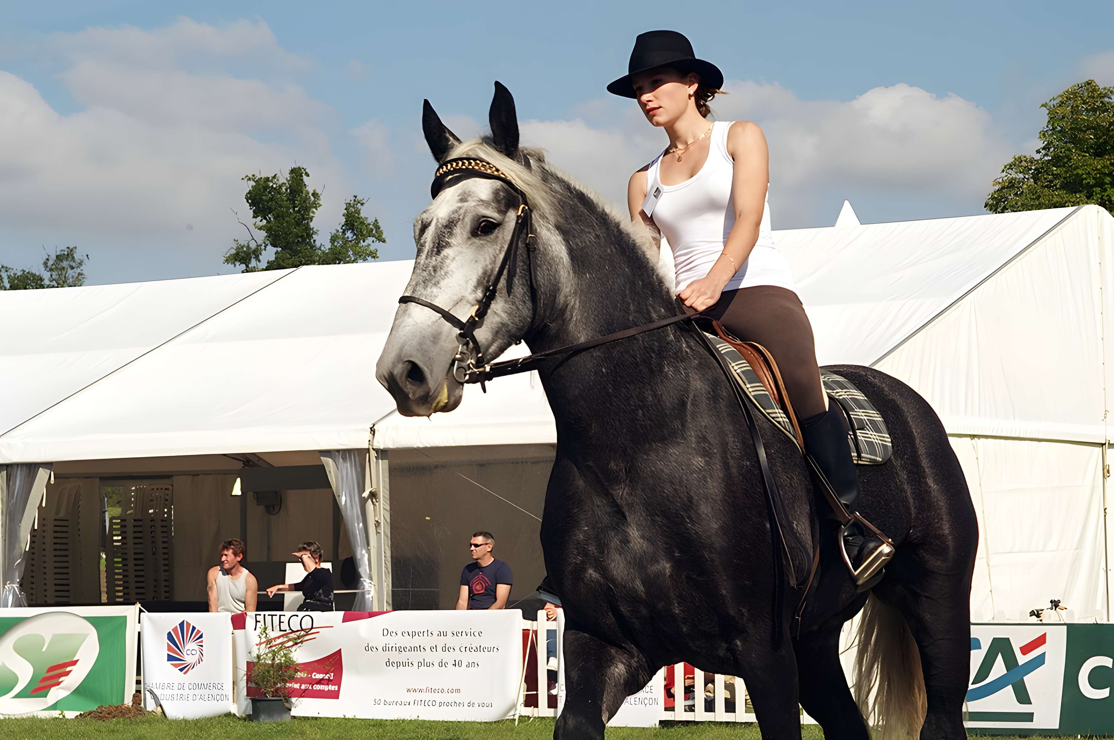 Château du Haras national du Pin