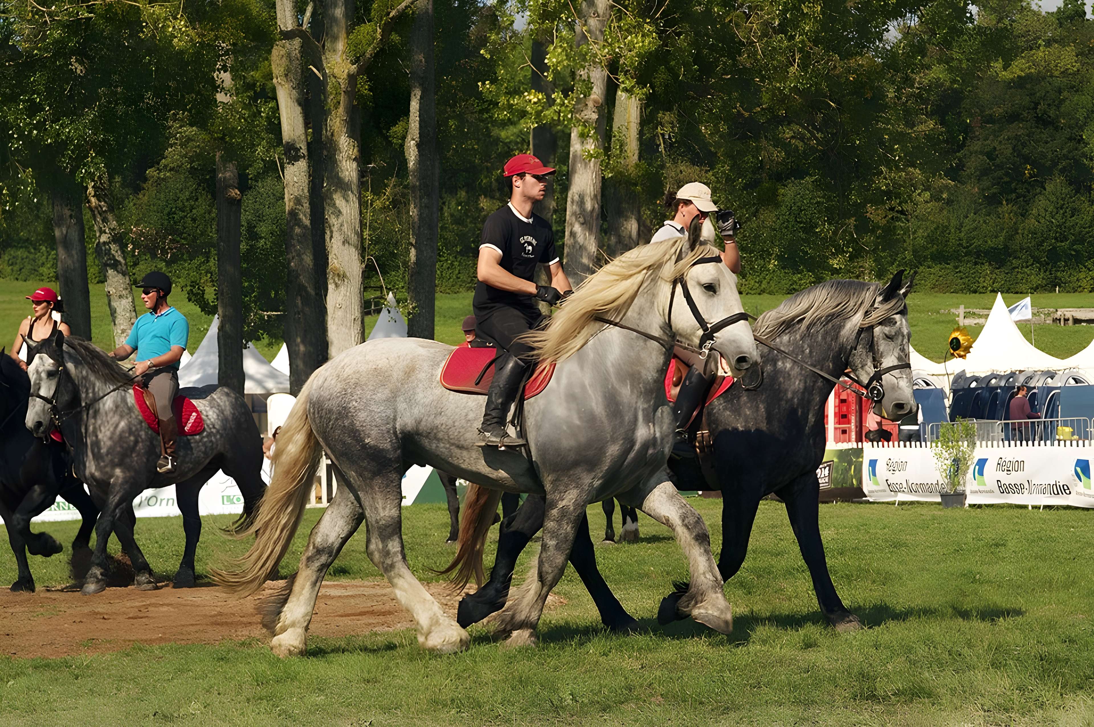 Château du Haras national du Pin