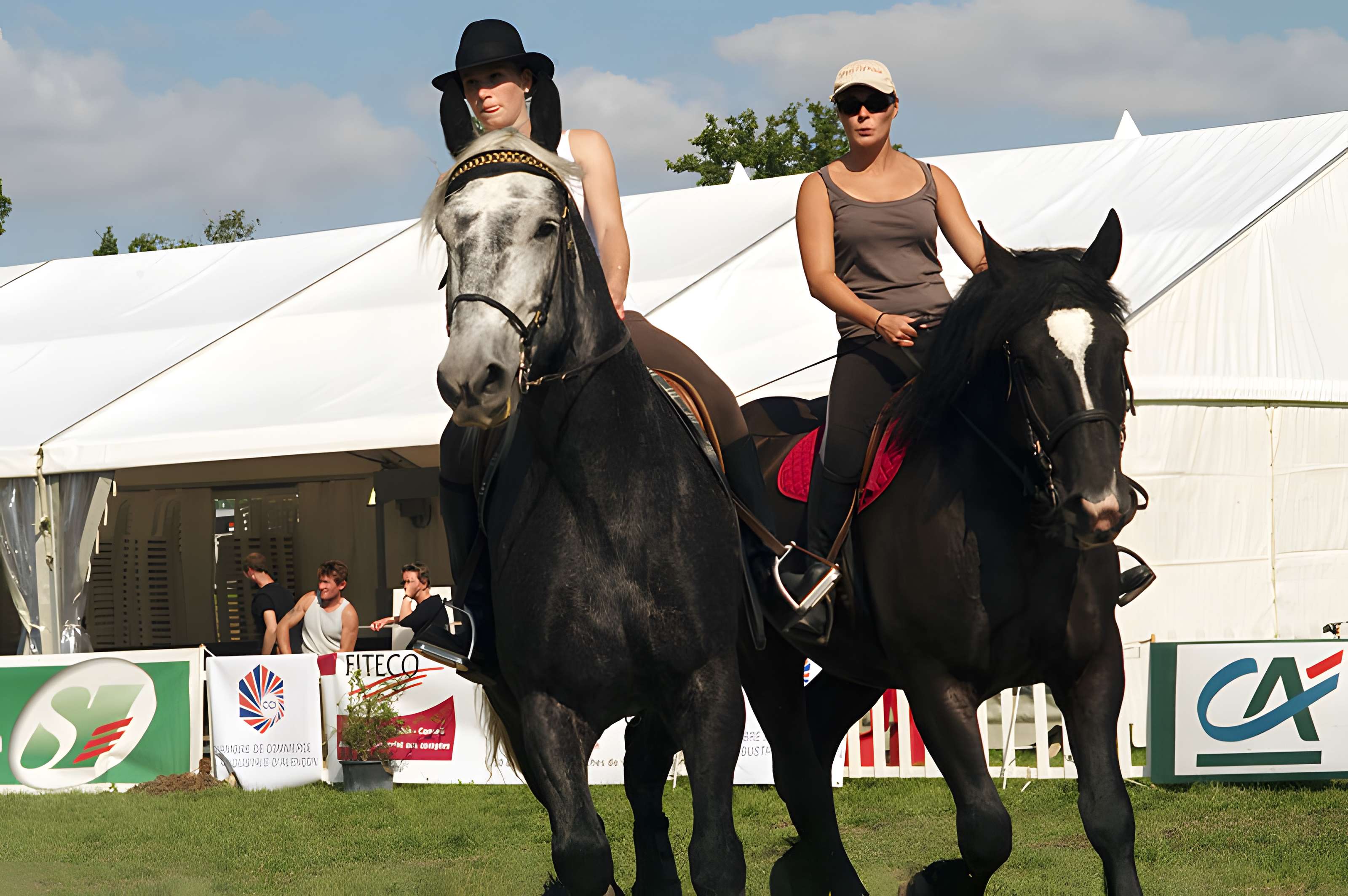 Château du Haras national du Pin