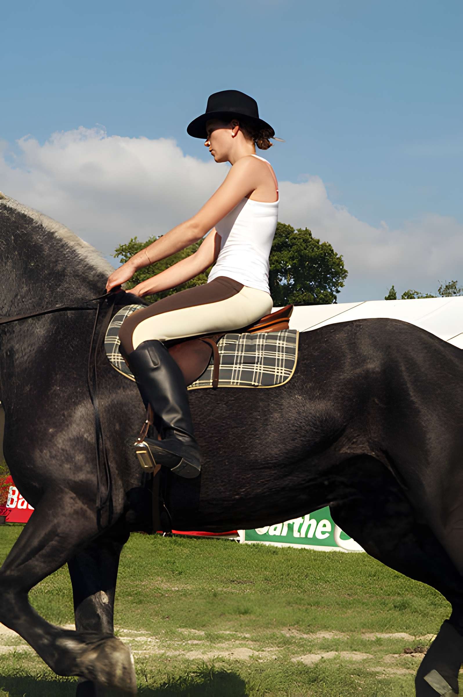 Château du Haras national du Pin