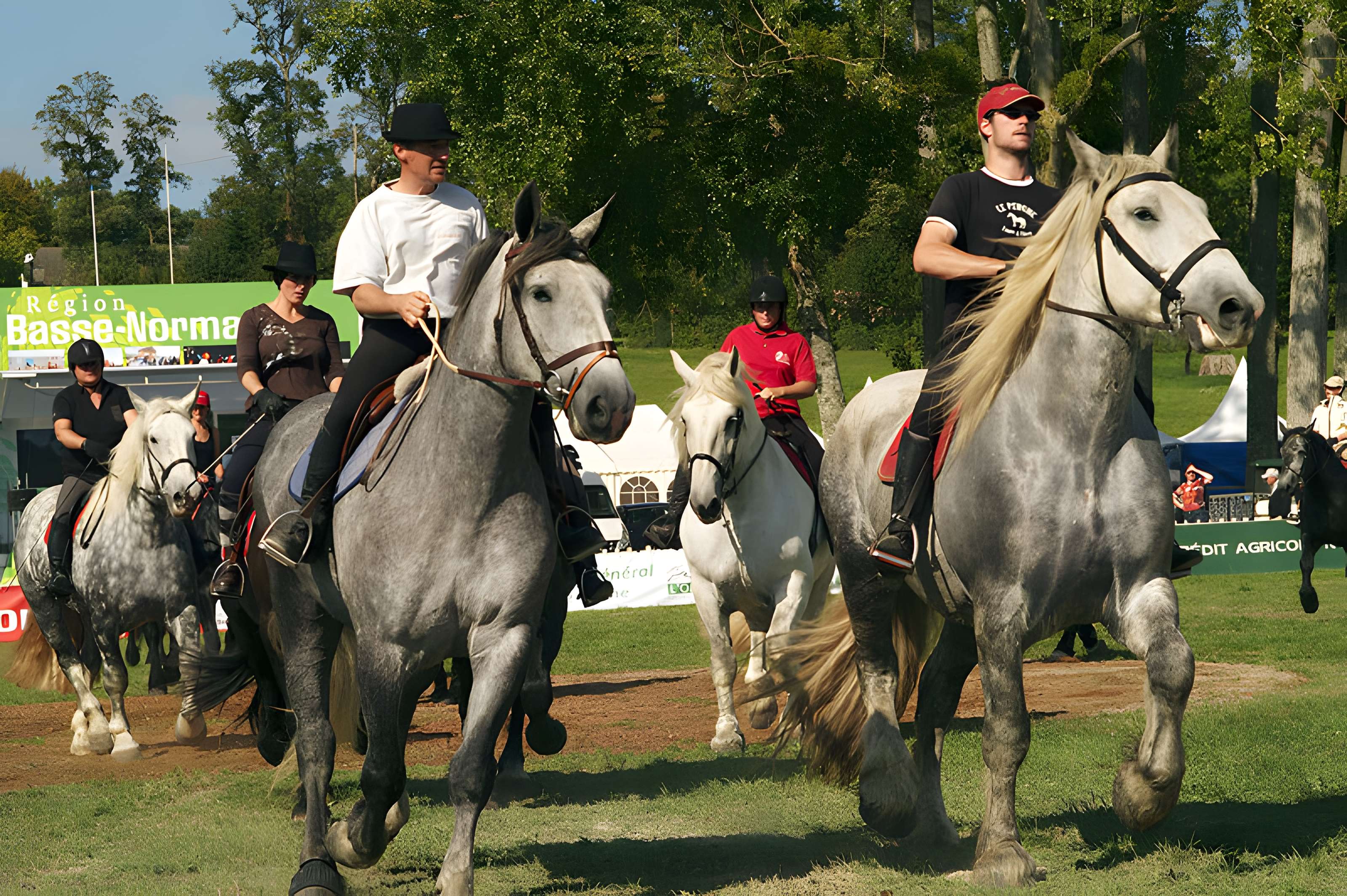 Château du Haras national du Pin