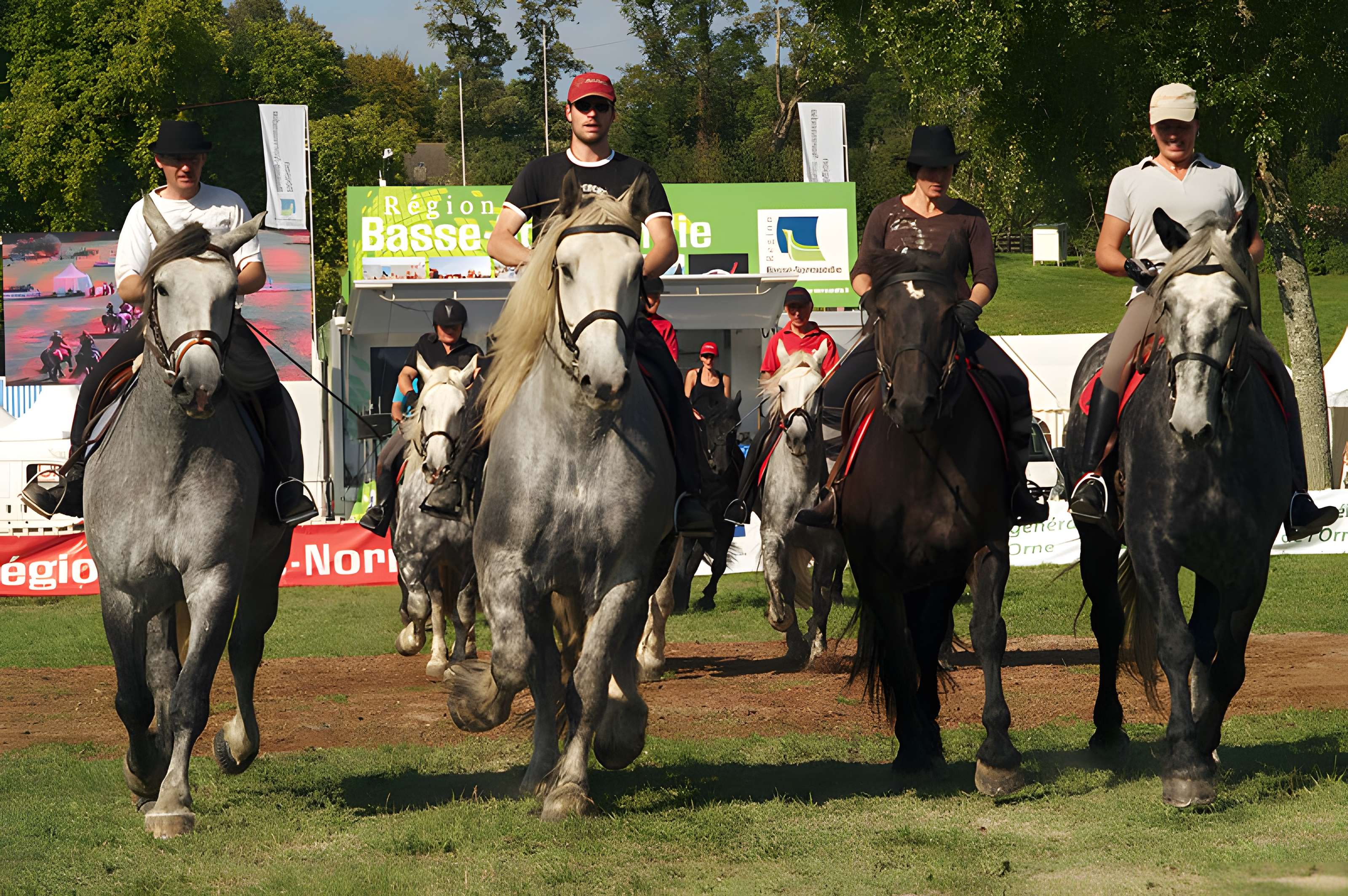 Château du Haras national du Pin