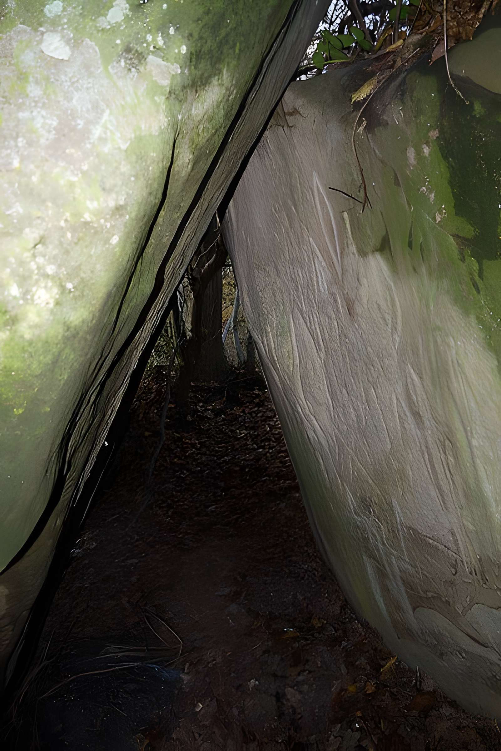 Rocher gravé de Brécy 