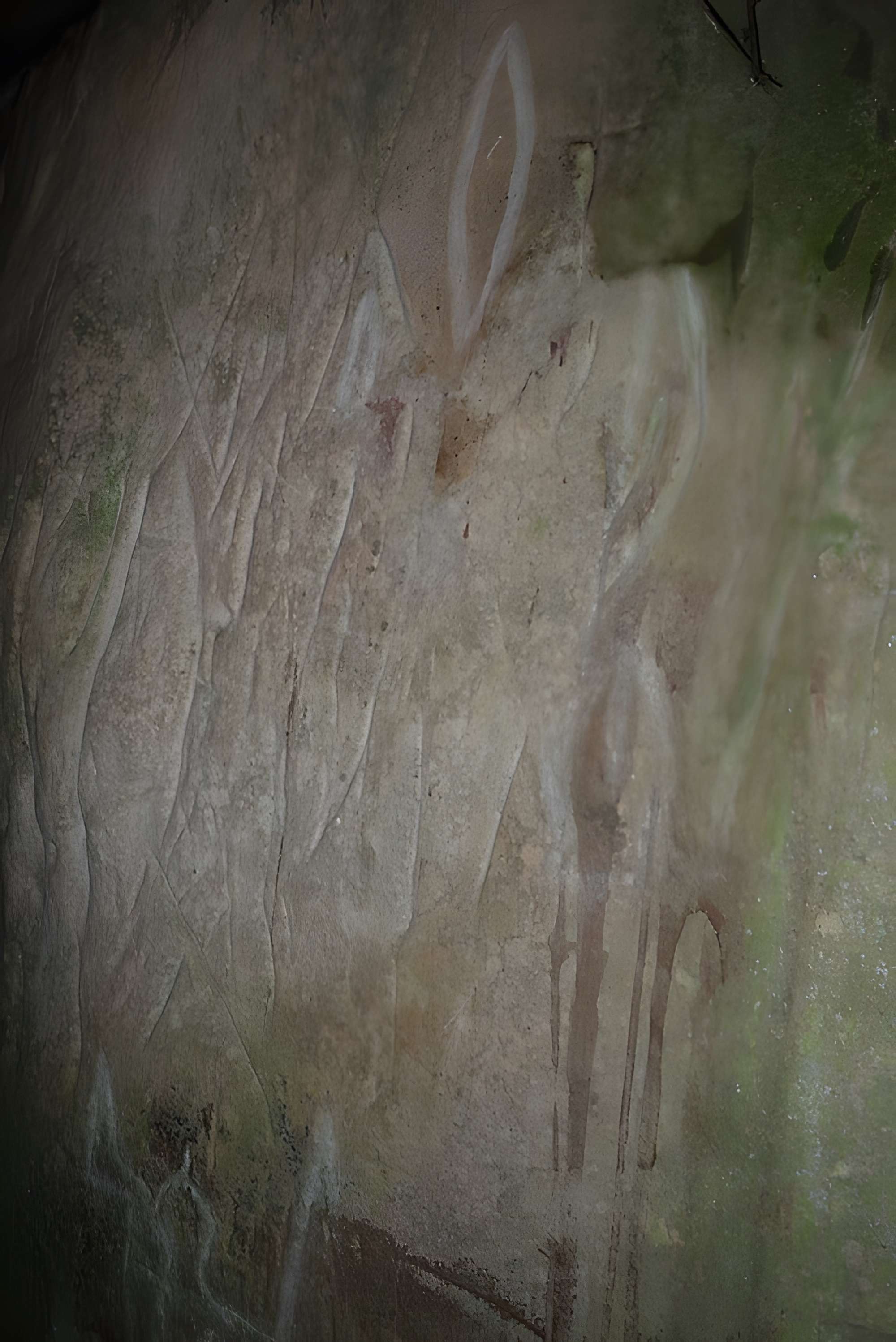 Rocher gravé de Brécy