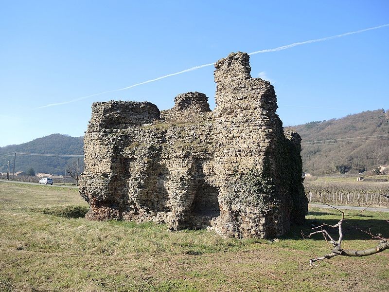 Photo de Ruine romaine d'Andance