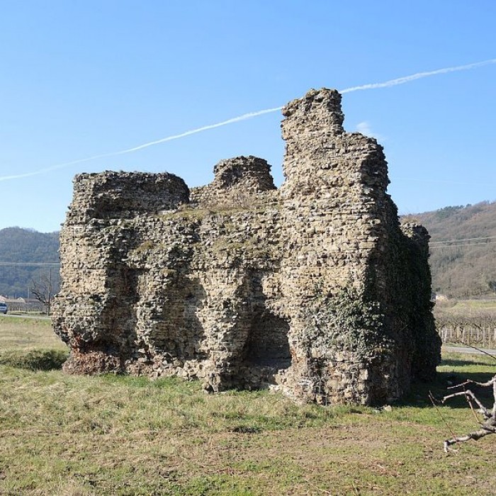 Photo de Ruine romaine dAndance