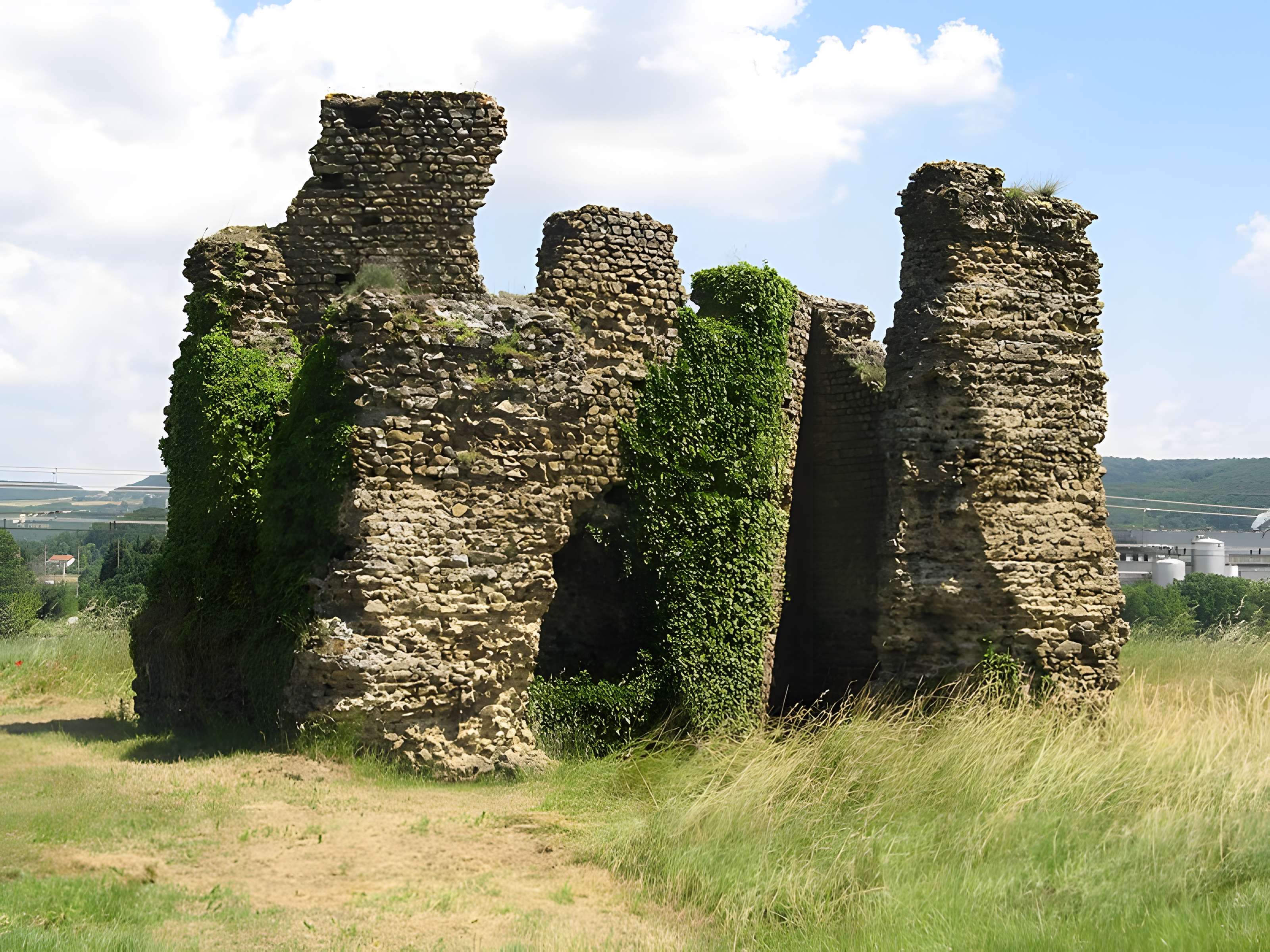 Ruine romaine d'Andance