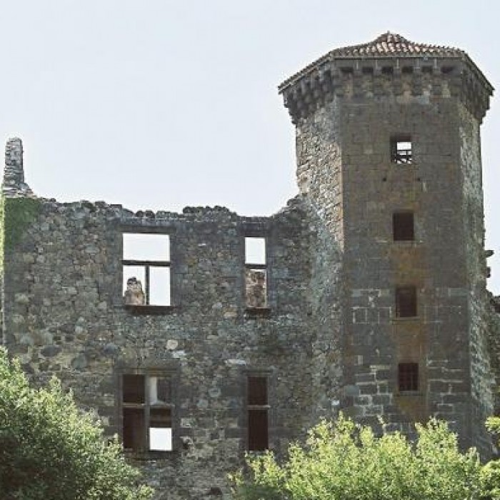 Photo de Ruines du Château de Branzac
