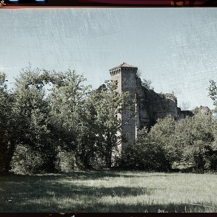 Photo de Ruines du Château de Branzac