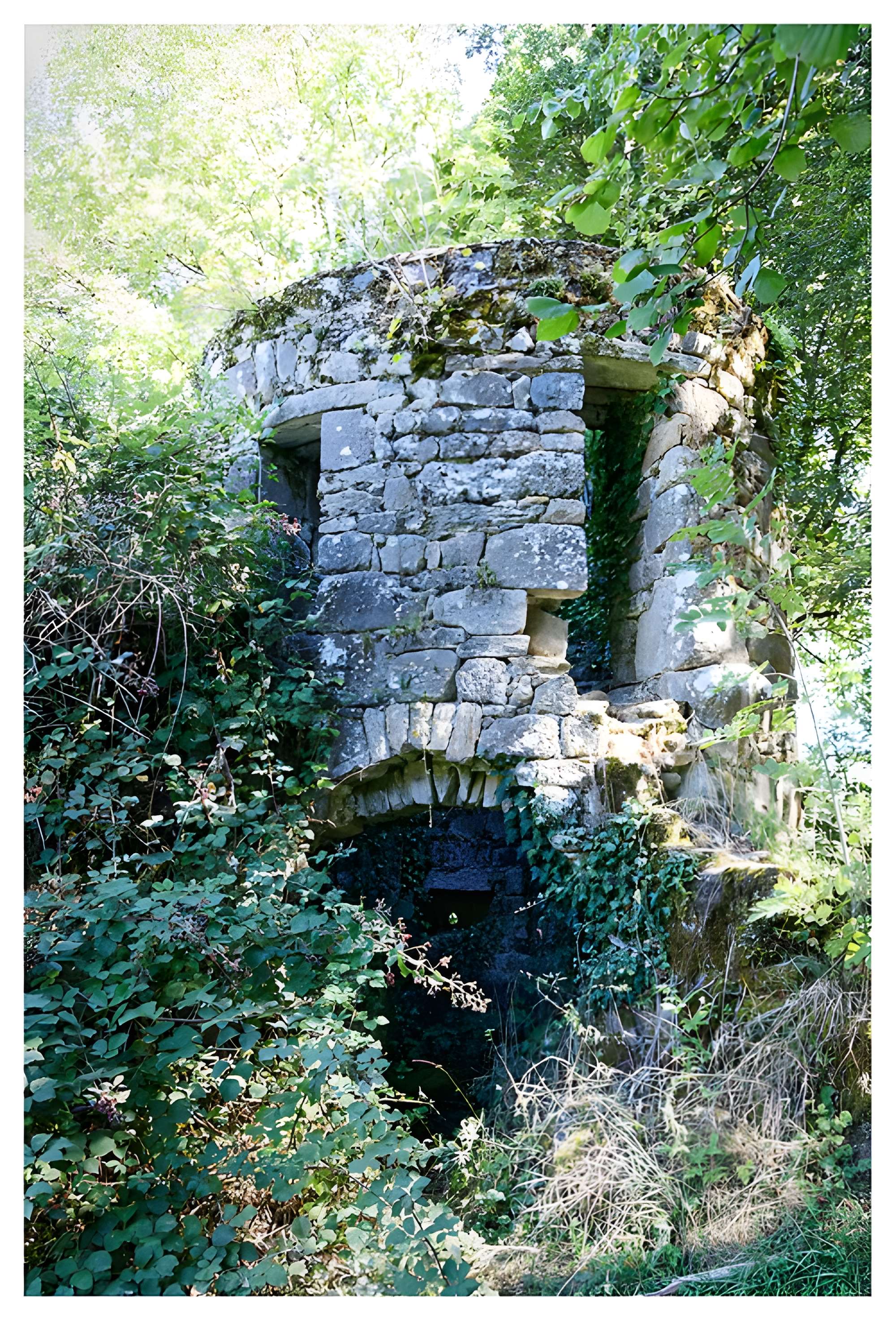 Ruines du Château de Branzac