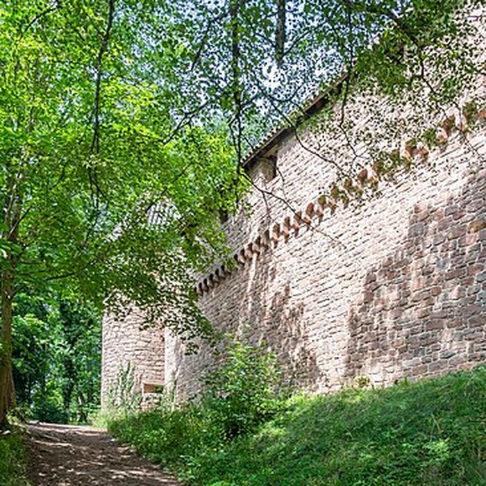 Photo de Château du Haut-Koenigsbourg