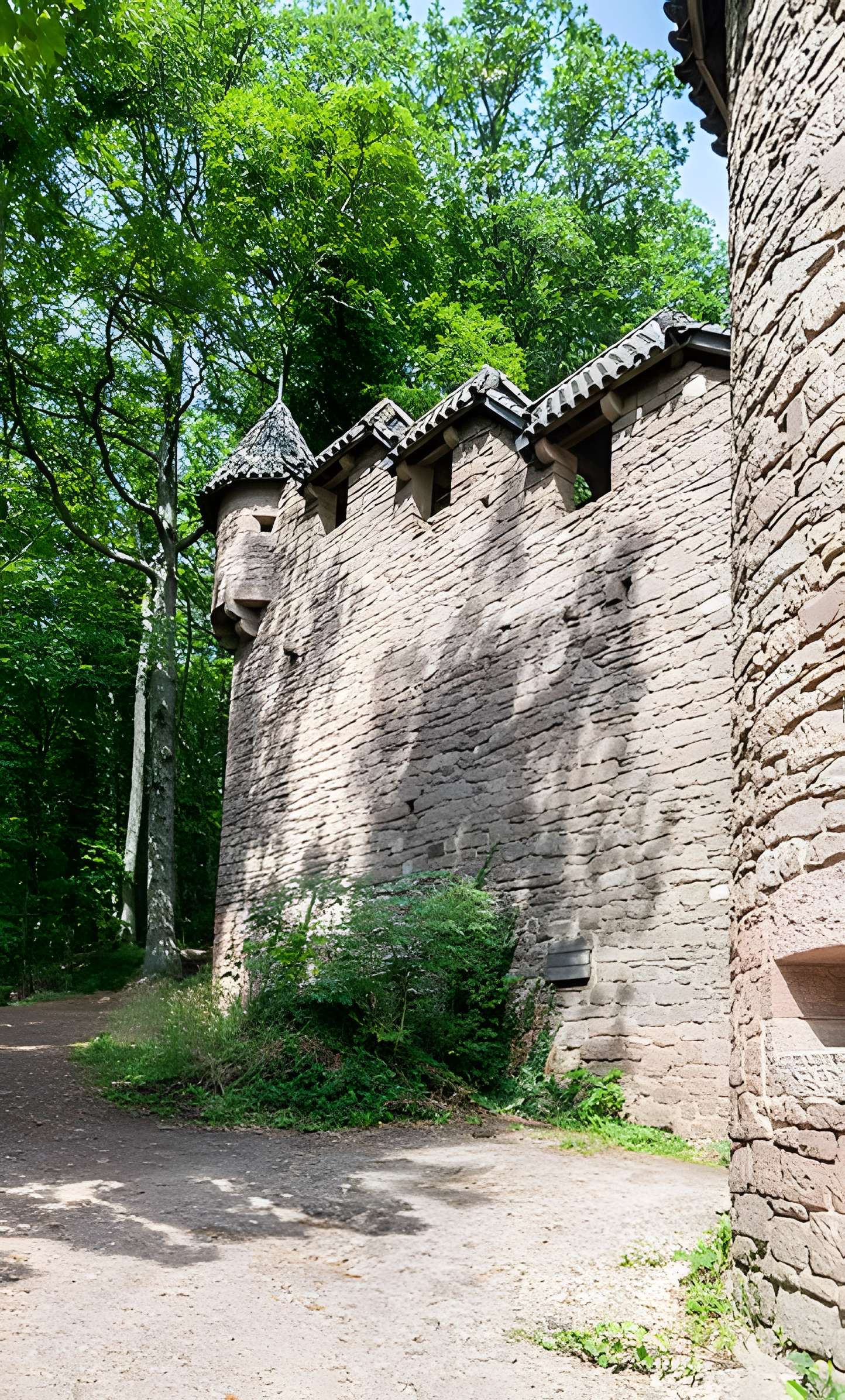 Château du Haut-Koenigsbourg