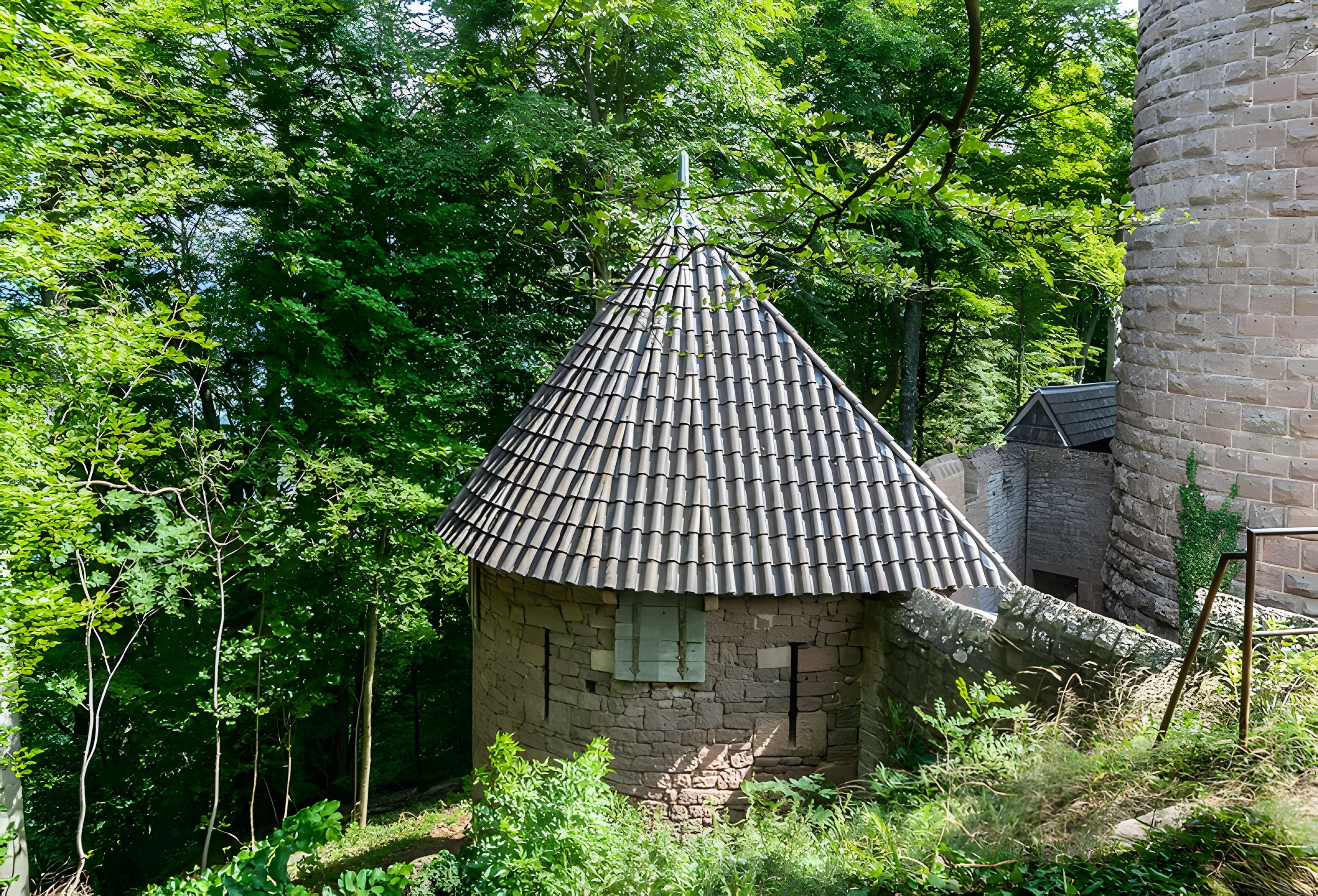 Château du Haut-Koenigsbourg